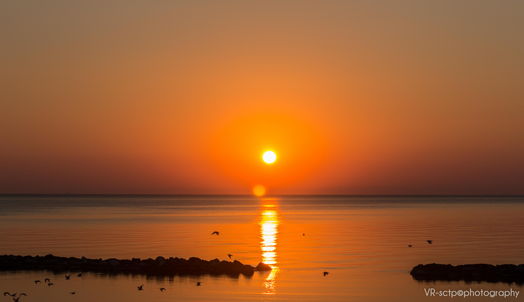 Canon EF-S 55-250mm F4-5.6 IS sample photo