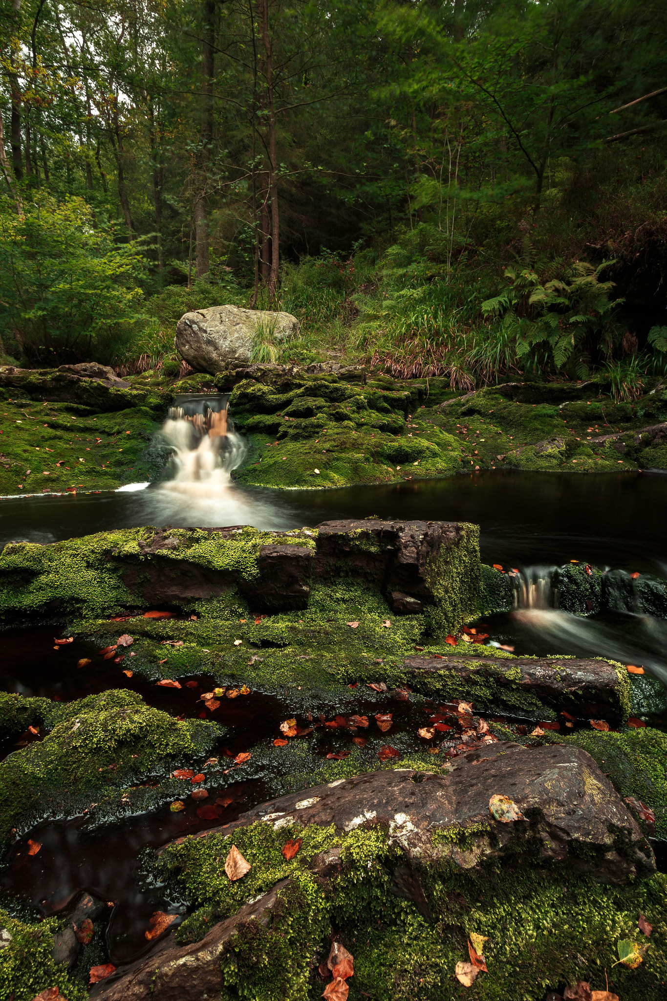 Canon EF-S 10-22mm F3.5-4.5 USM sample photo. Hoegne photography