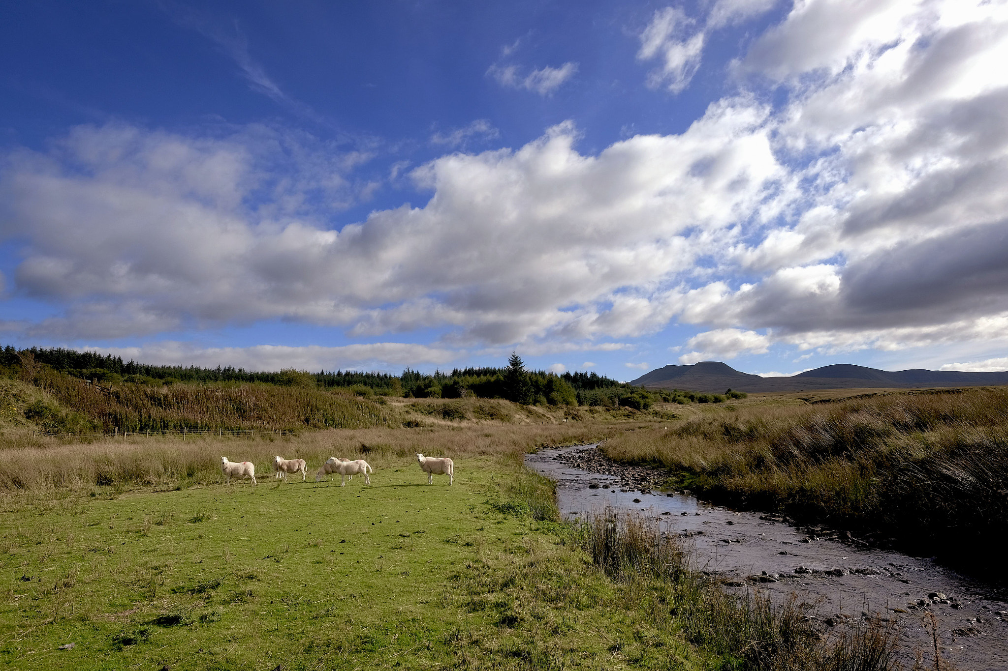 Fujifilm X-T10 + Fujifilm XF 14mm F2.8 R sample photo. Welsh countryside photography