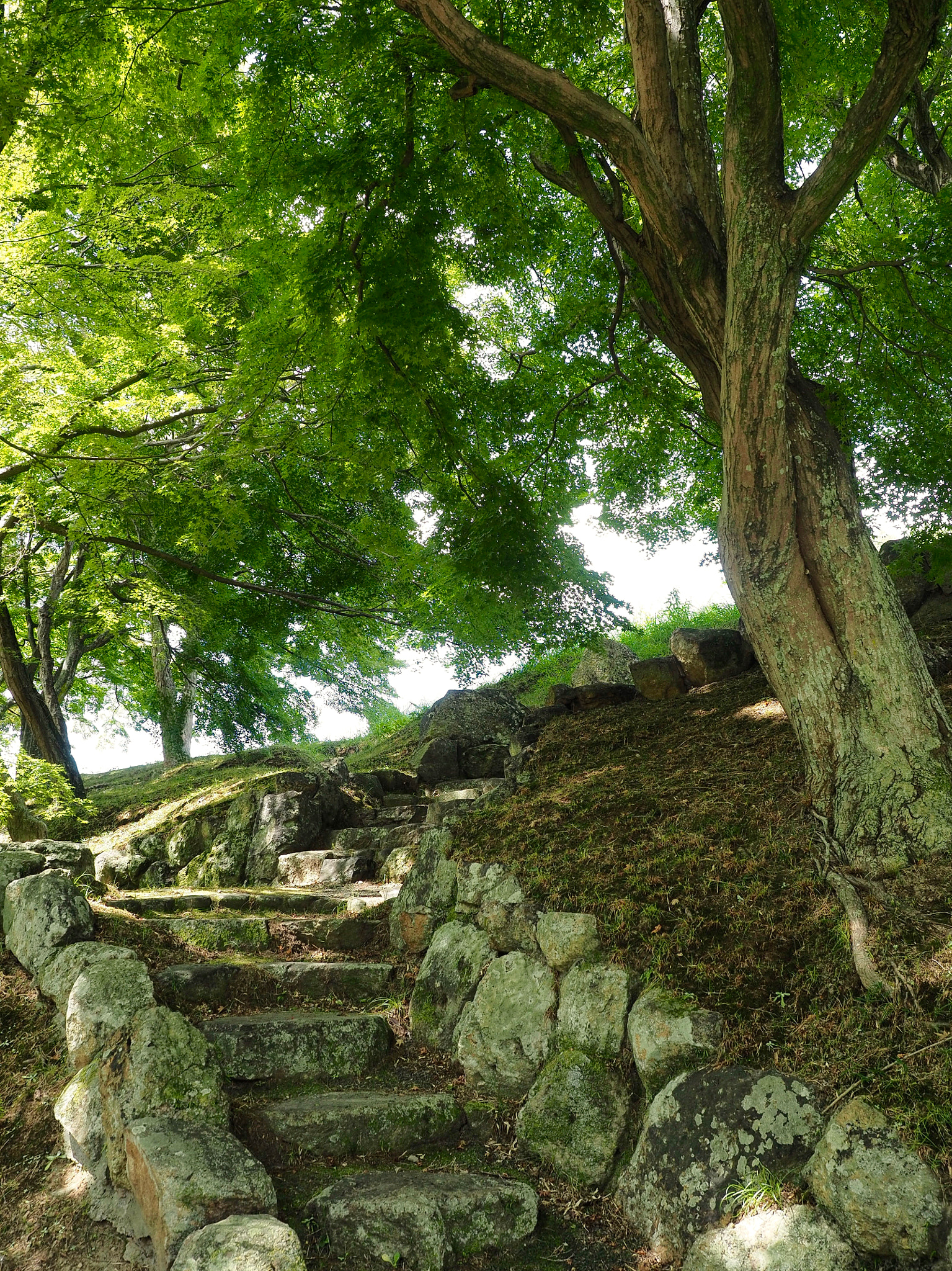 Olympus M.Zuiko Digital ED 12-40mm F2.8 Pro sample photo. Stone path photography