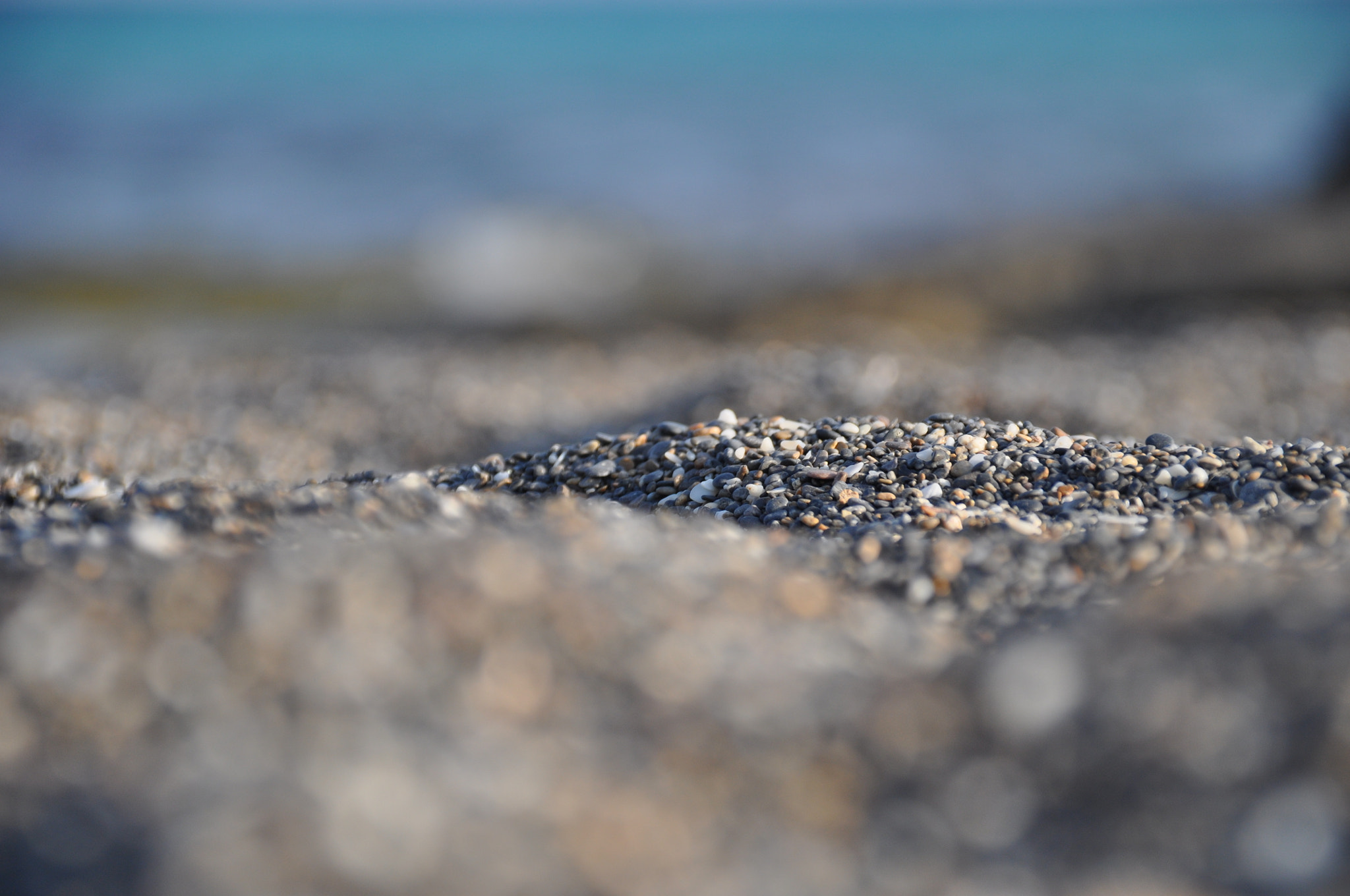 Sigma 18-200mm F3.5-6.3 DC OS HSM sample photo. Kedrod photography