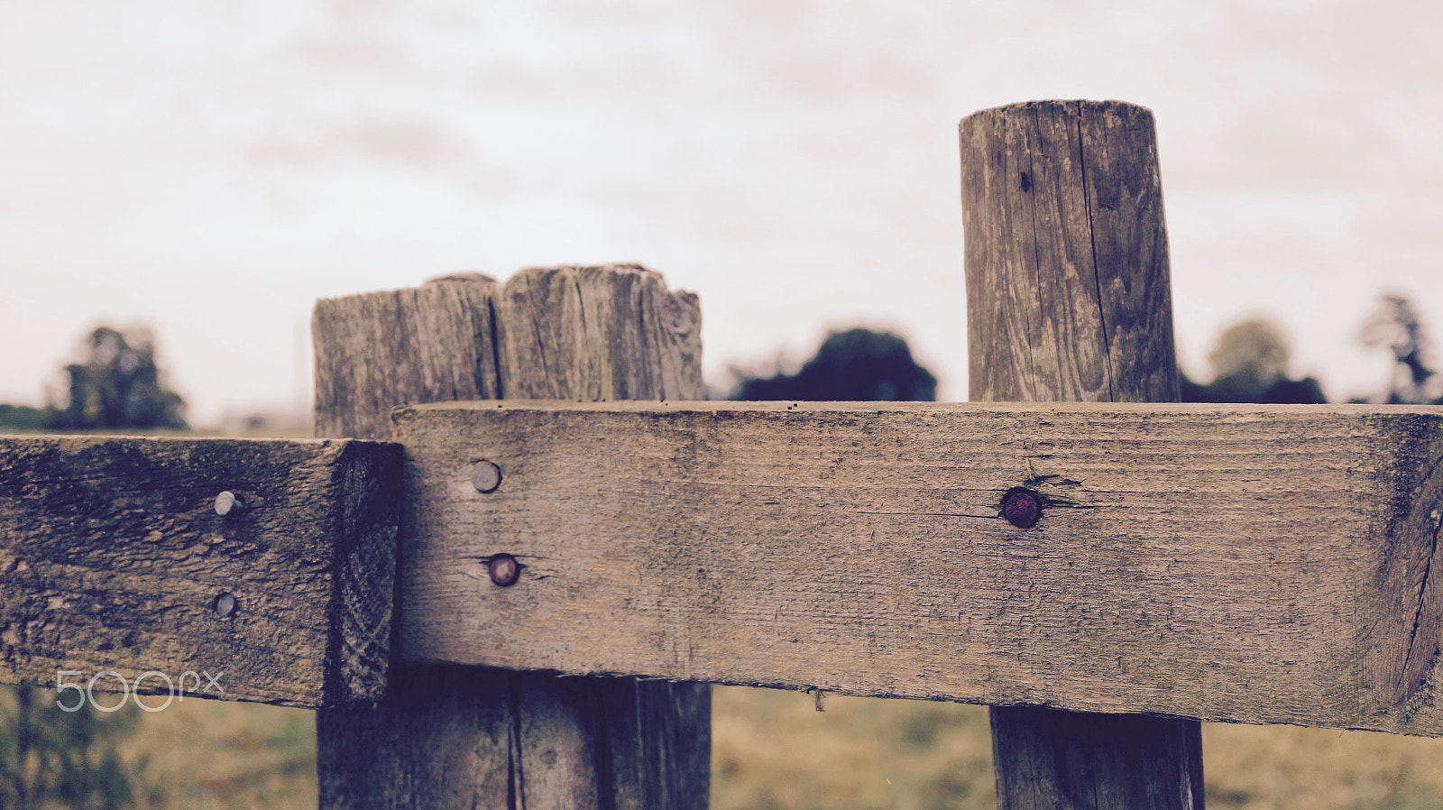 Canon EOS M10 + Canon EF-M 28mm F3.5 Macro IS STM sample photo. Artistic fence photography