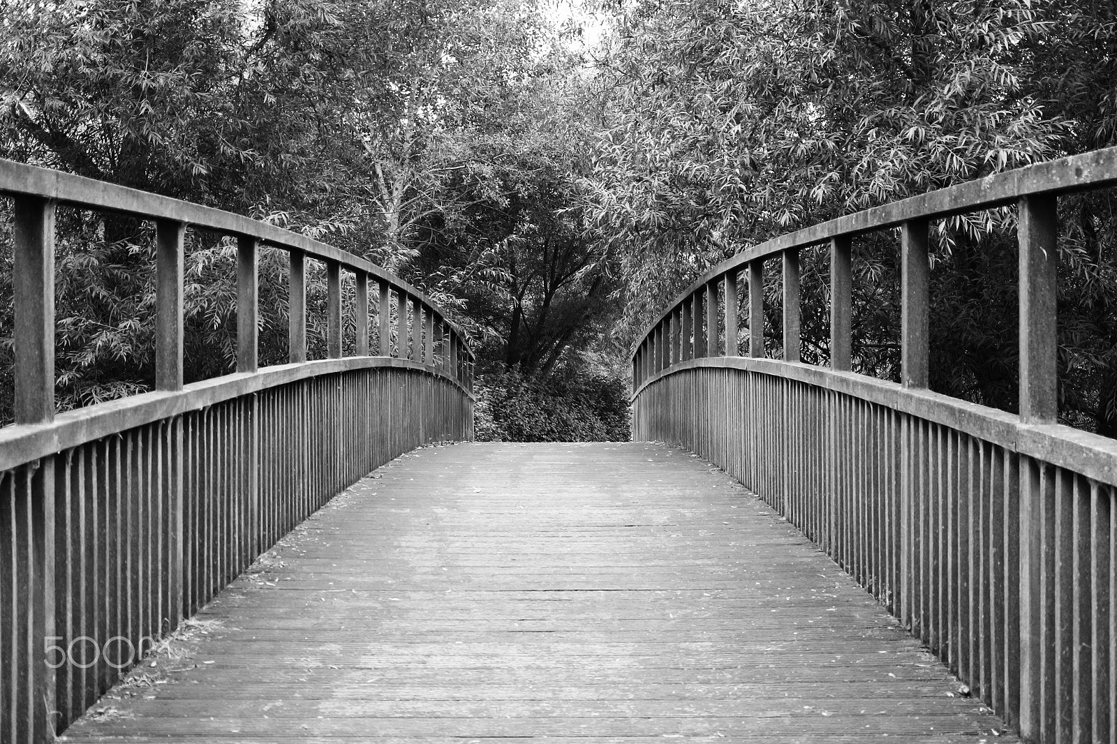 Canon EF-M 28mm F3.5 Macro IS STM sample photo. Wooden bridge photography