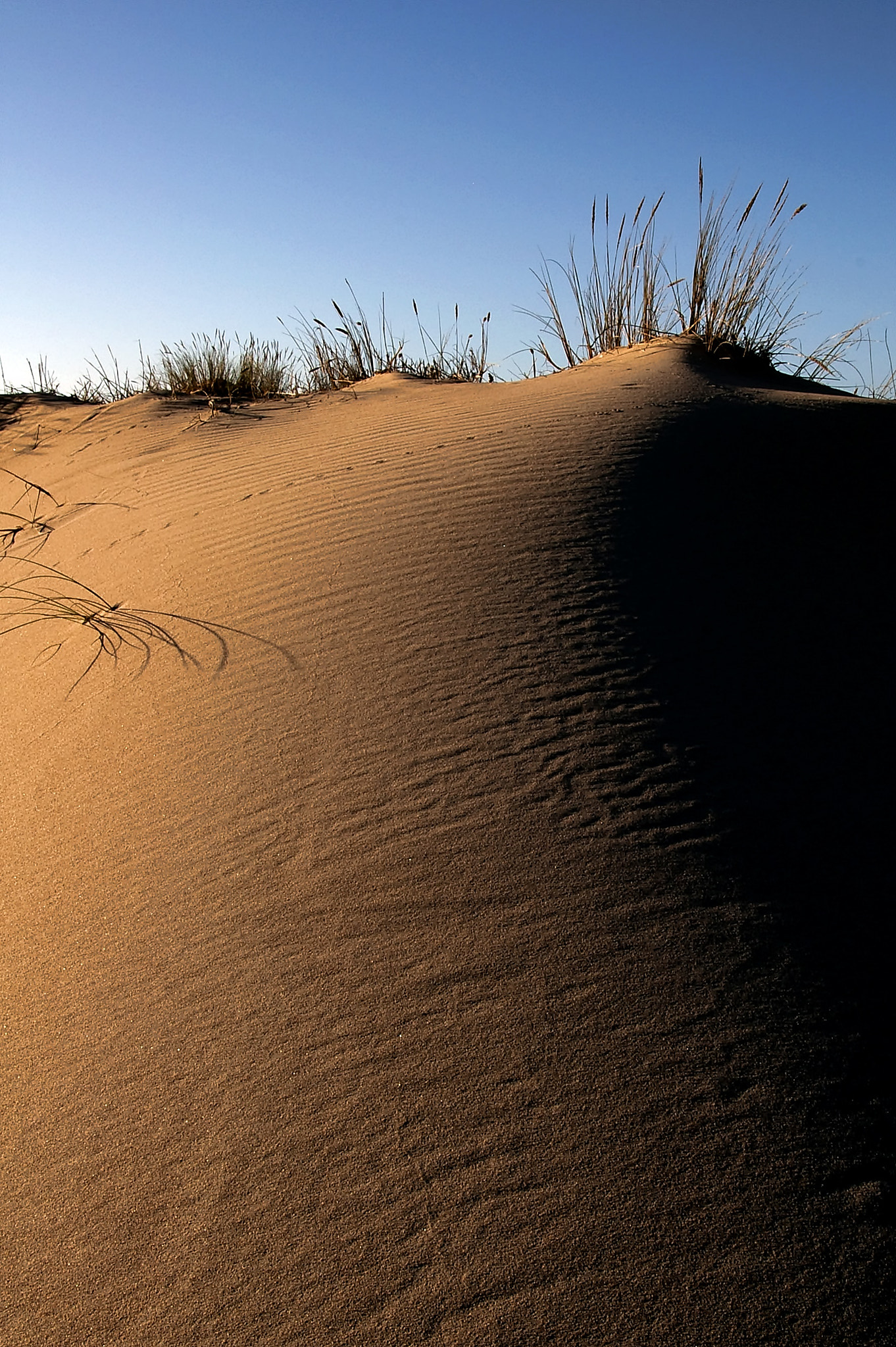 Pentax *ist DS sample photo. Dune photography