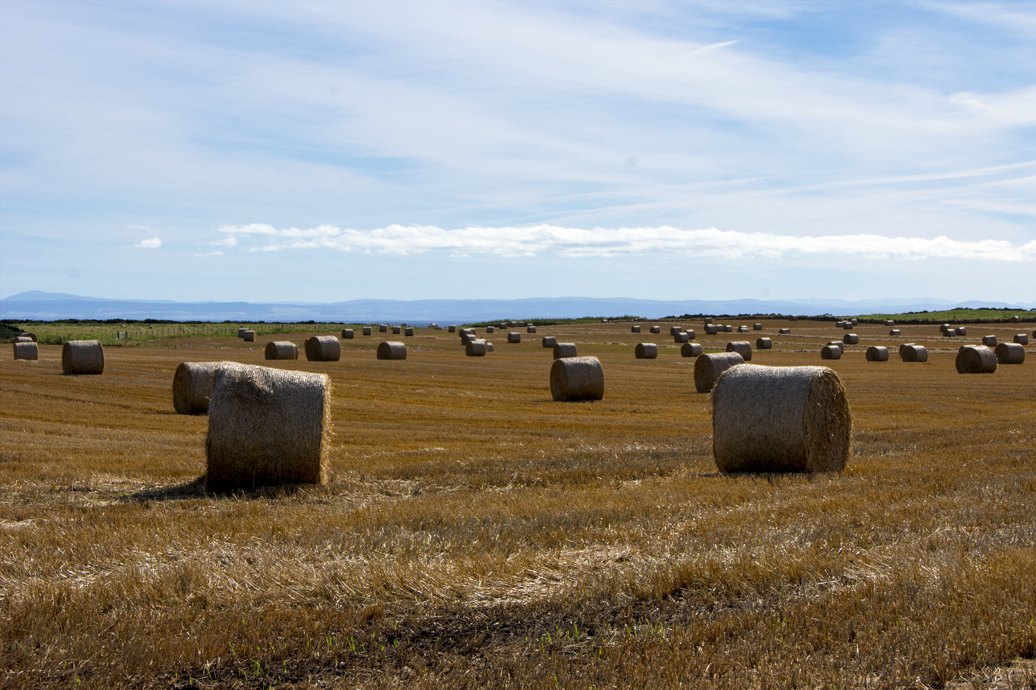 Sony Alpha DSLR-A450 sample photo. Views of portmahomack and district photography