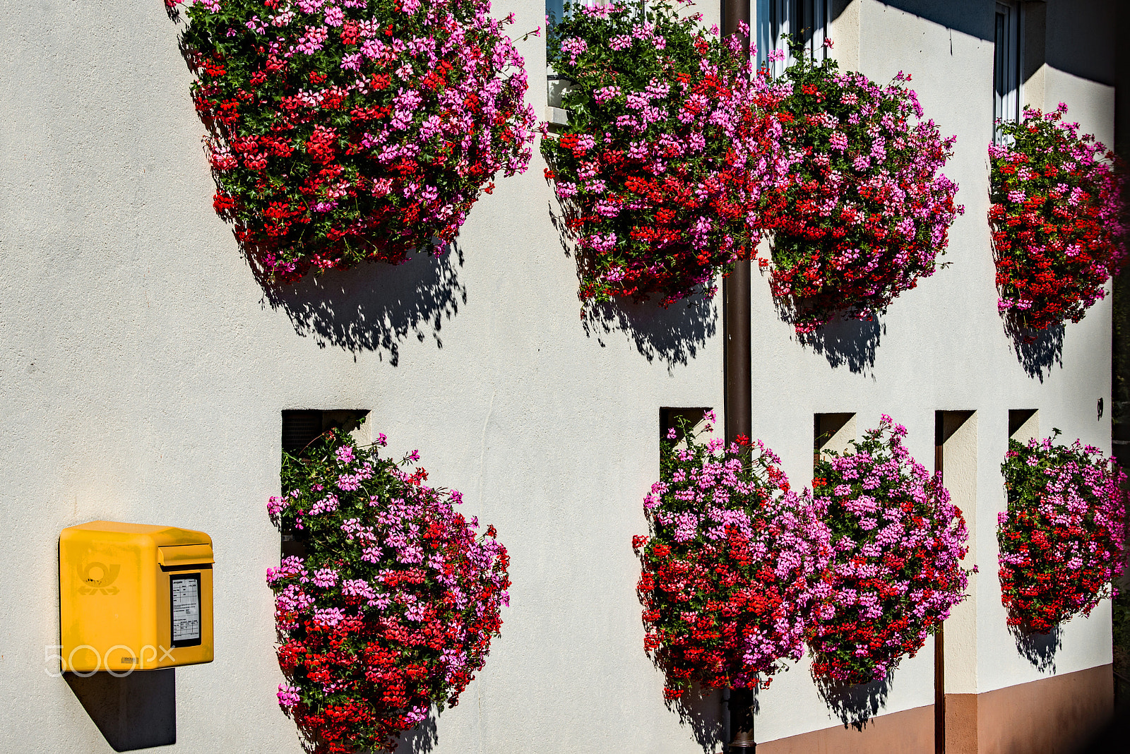 Nikon D600 sample photo. Facade geraniums photography