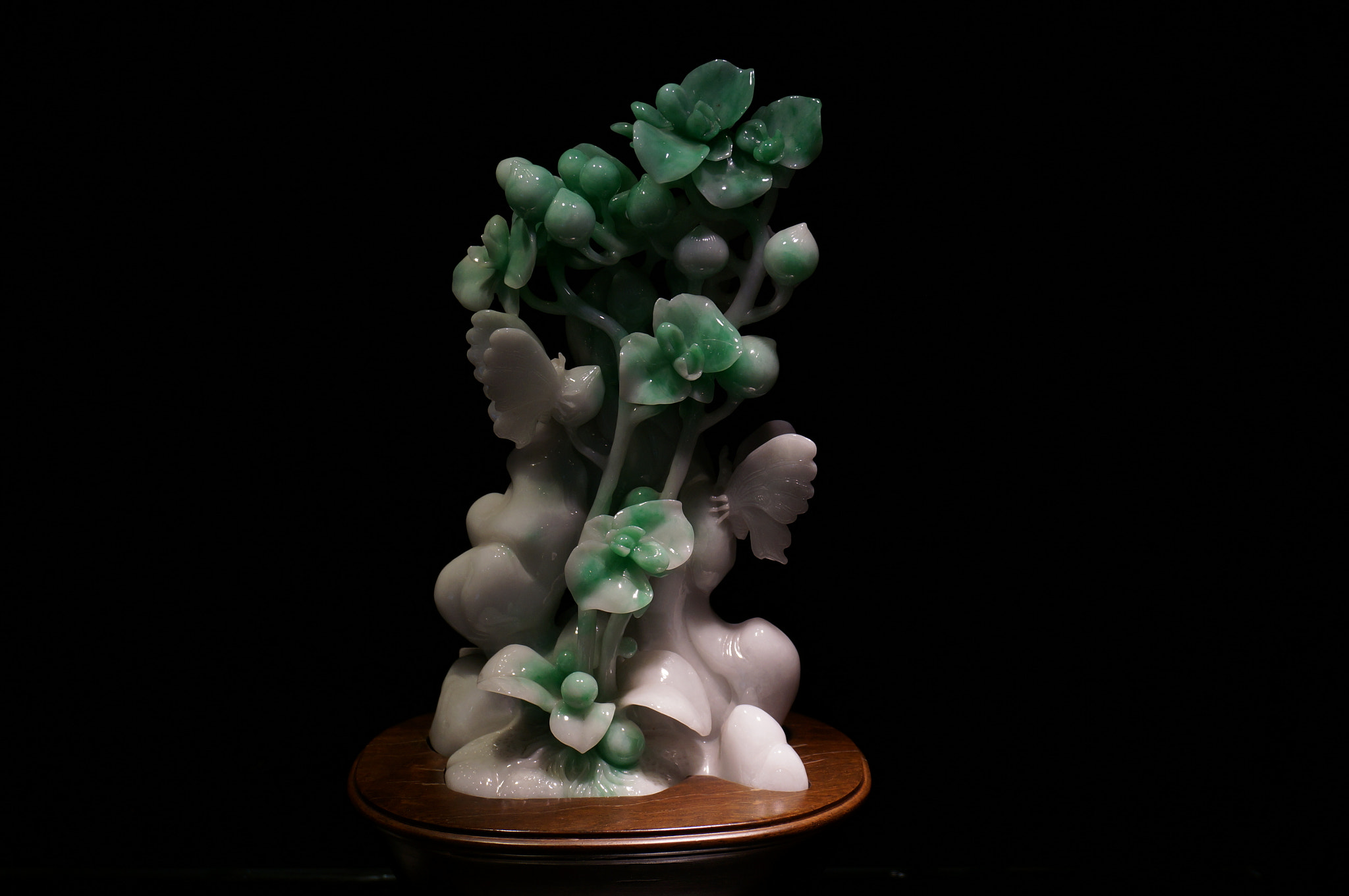 Sony Alpha NEX-6 + Sony E 18-50mm F4-5.6 sample photo. Jade china photography