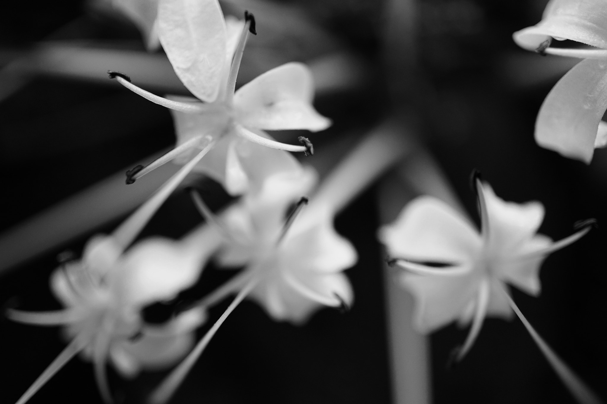 Sony E 30mm F3.5 sample photo. Unfocused photography