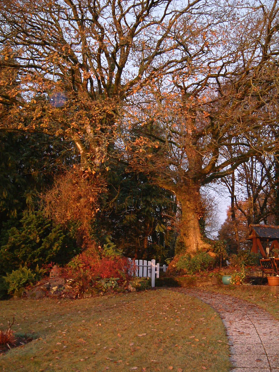 Fujifilm FinePix F401 sample photo. 24.jpg photography