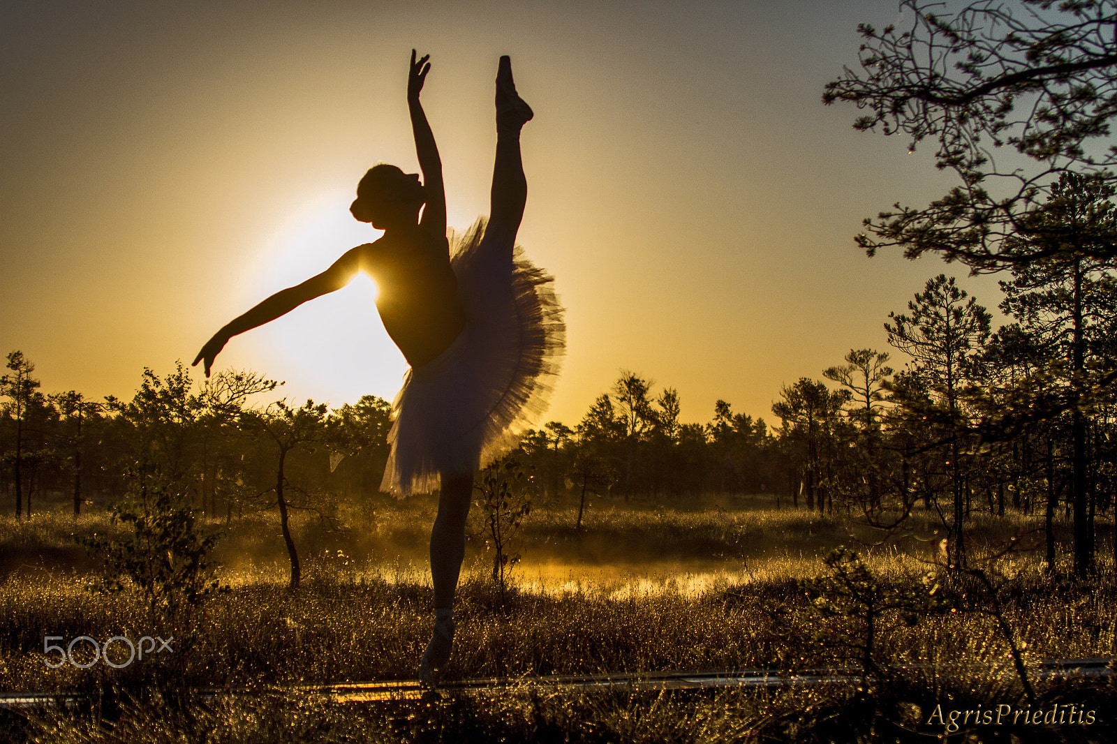 Canon EF 35-350mm F3.5-5.6L USM sample photo. Sunrise with ballerina photography