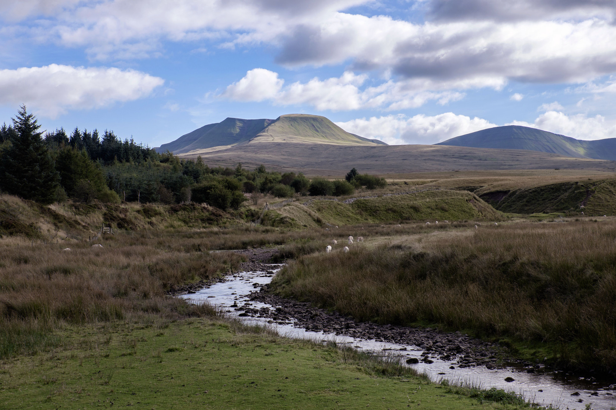 Fujifilm X-E2 + Fujifilm XF 18-135mm F3.5-5.6 R LM OIS WR sample photo. Welsh countryside photography
