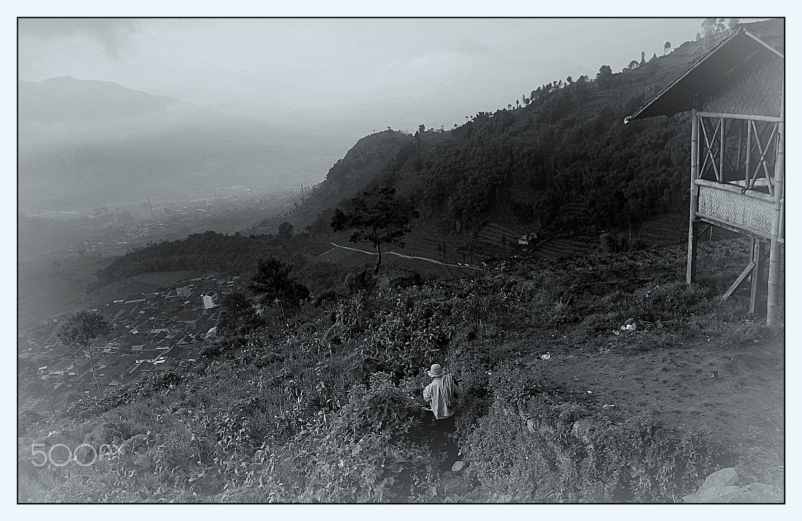 Ricoh WG-4 sample photo. Go to the farm photography
