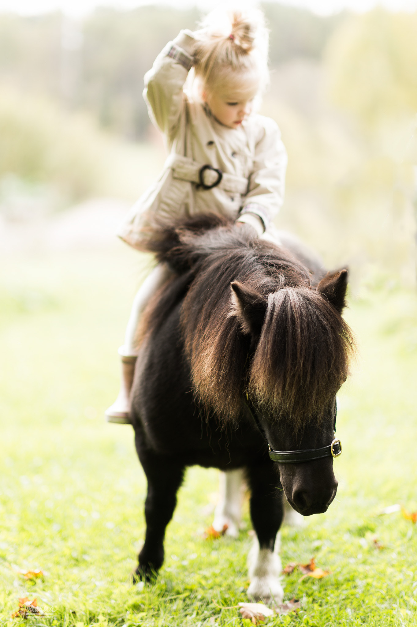 Nikon D4S + Nikon AF-S Nikkor 85mm F1.4G sample photo. Pony thoughts photography