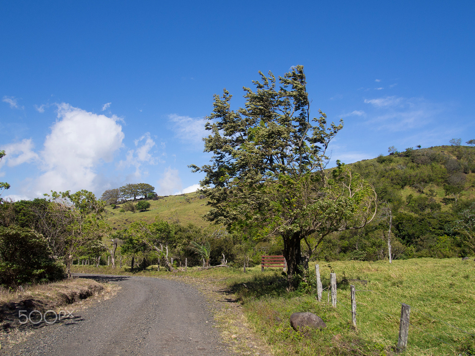 Olympus PEN E-PL5 sample photo. Landscape photography