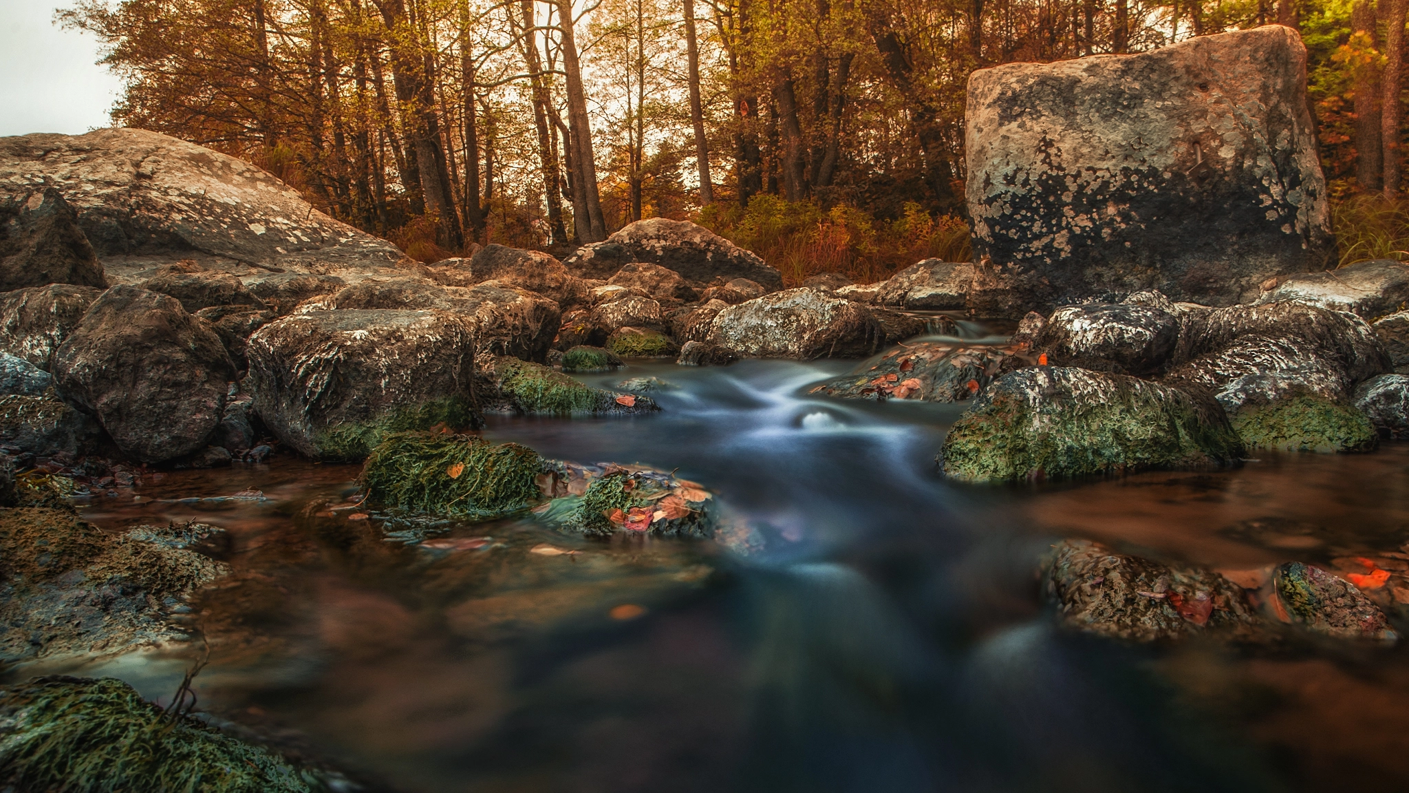 Nikon D3 sample photo. Beautiful autumn photography