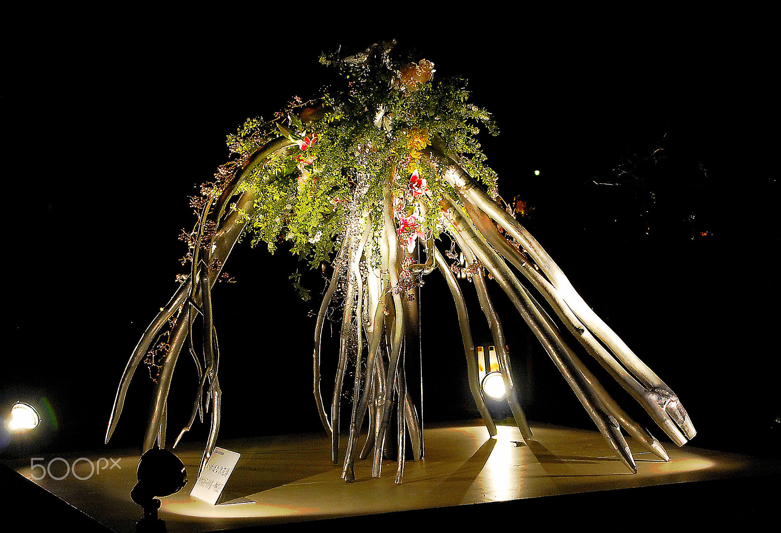 Nikon D200 sample photo. 生け花　flower arrangement　京花伝 photography