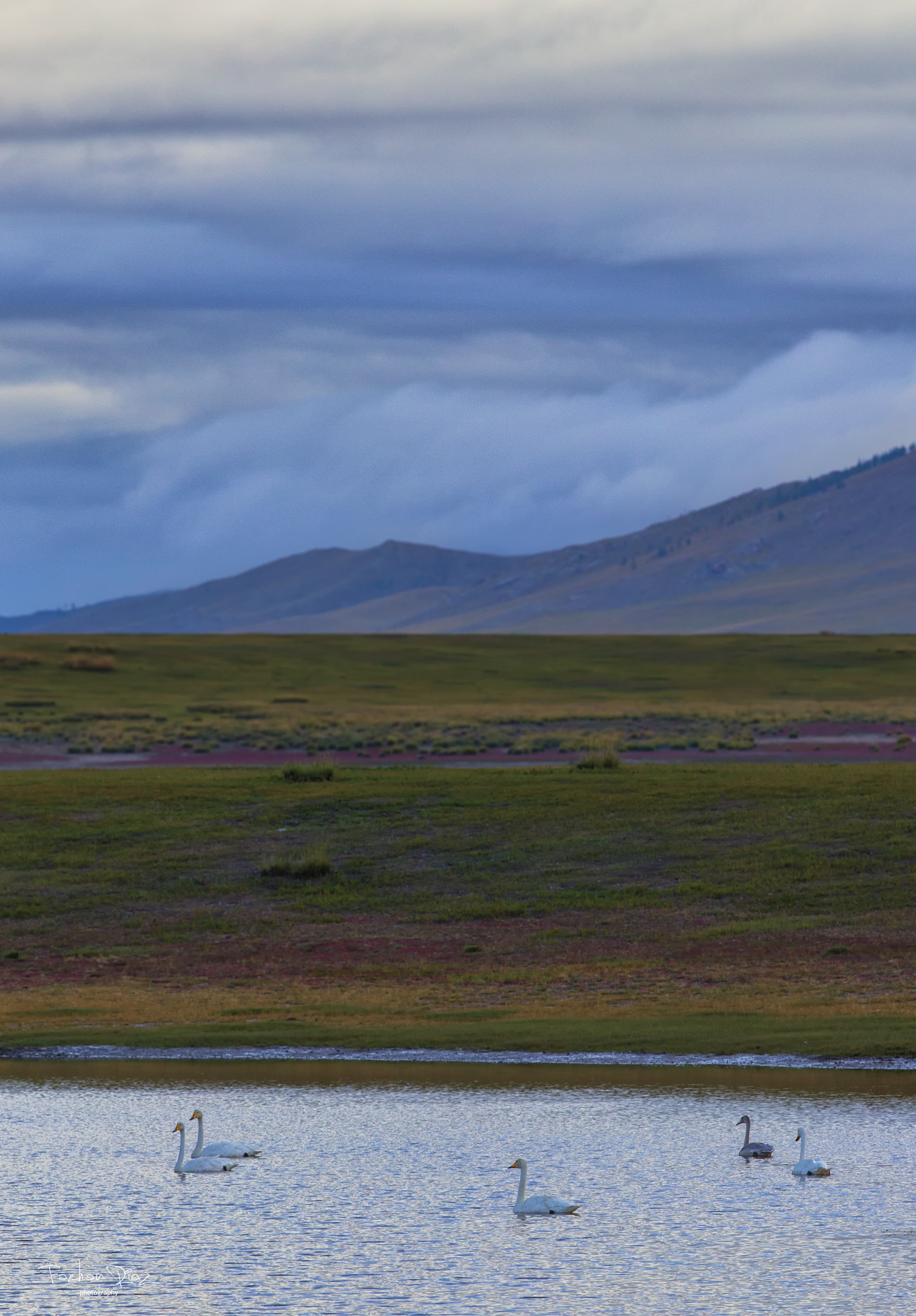Canon EF 300mm F2.8L IS II USM sample photo. Pristine mongolia photography