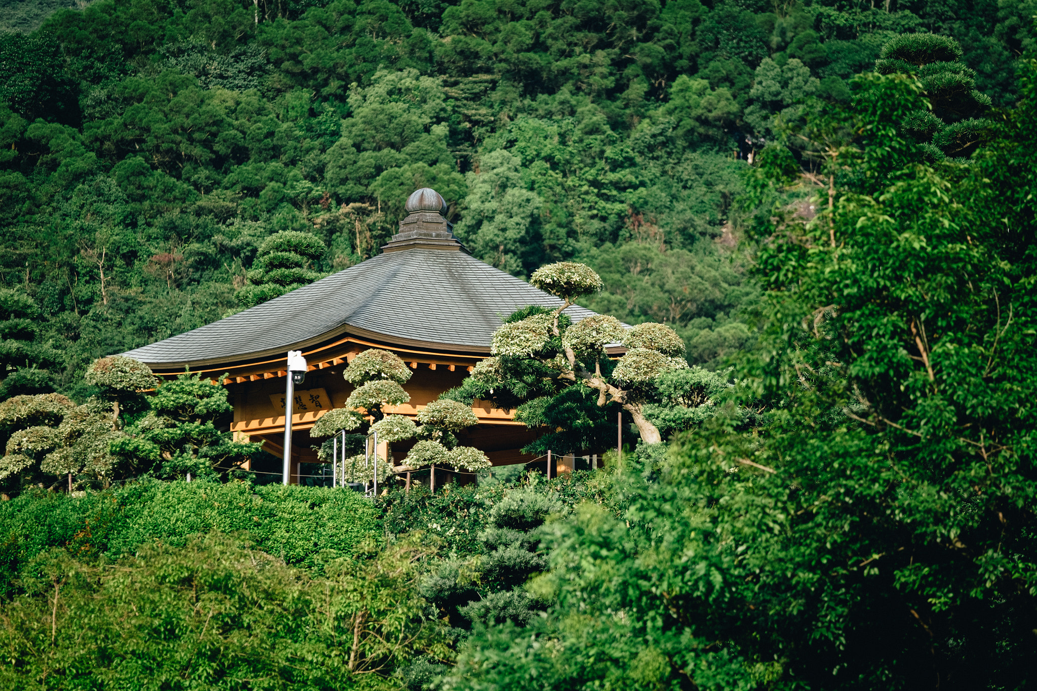 Fujifilm X-T10 + Fujifilm XF 50-140mm F2.8 R LM OIS WR sample photo. Shrine photography