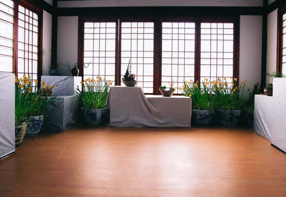 Olympus M.Zuiko Digital 14-42mm F3.5-5.6 II R sample photo. Allied hardwood flooring photography