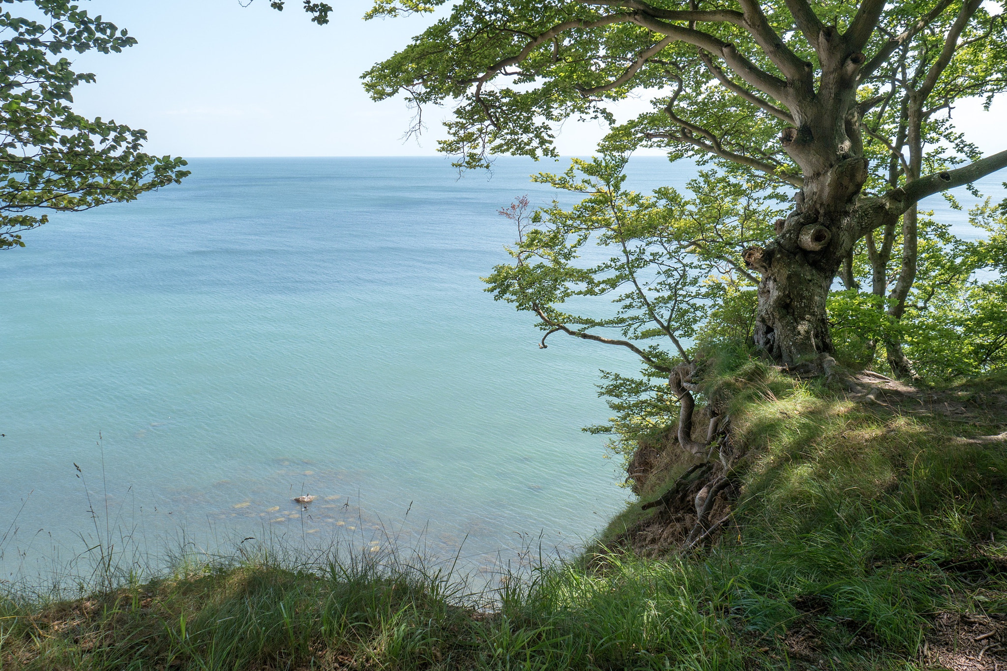 LUMIX G VARIO 14-42/F3.5-5.6 II sample photo. Island of rügen, baltic sea photography