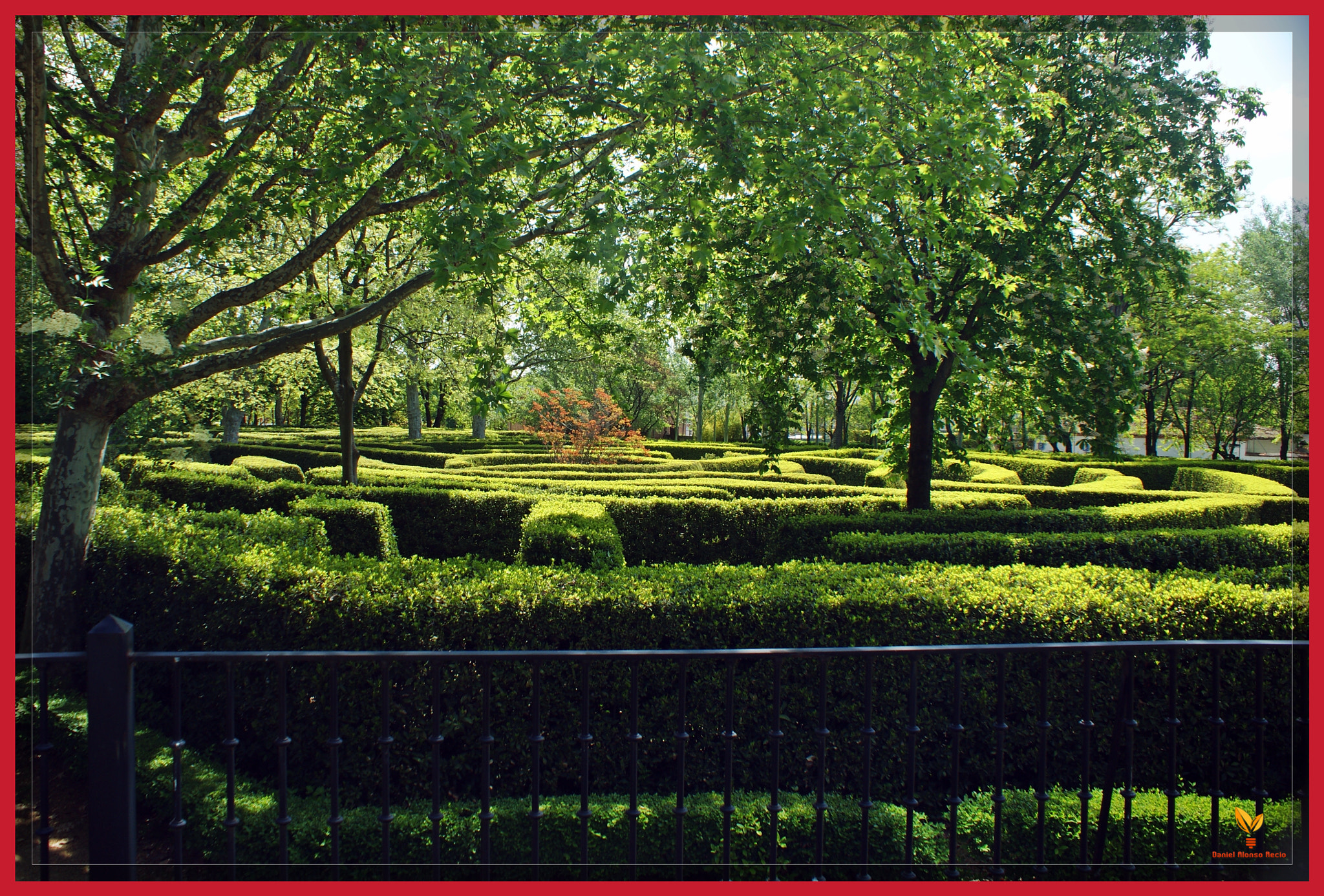 Sony DT 18-70mm F3.5-5.6 sample photo. Sony dsc photography