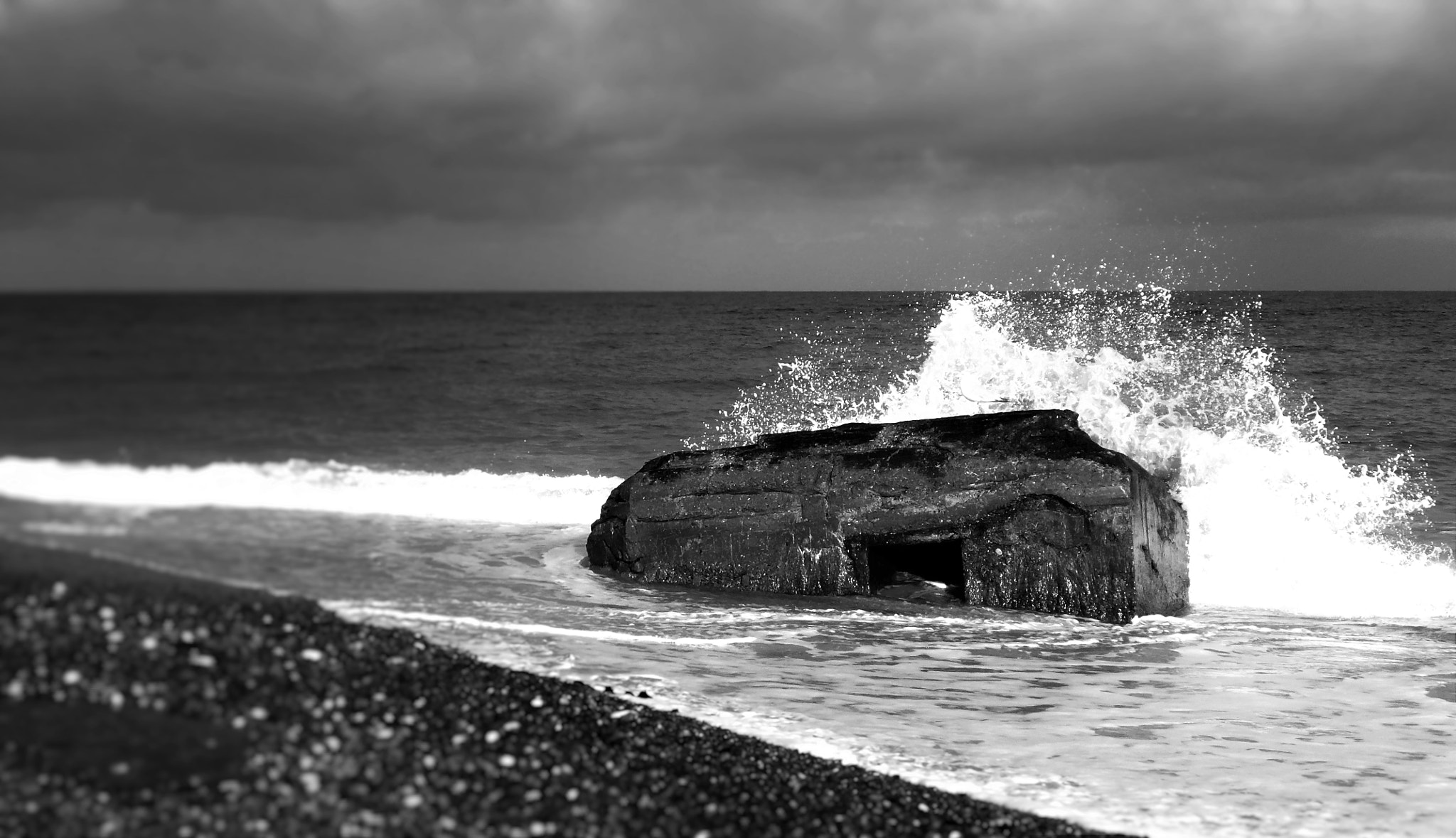 Panasonic Lumix DMC-TS5 (Lumix DMC-FT5) sample photo. Seagull in the wave photography