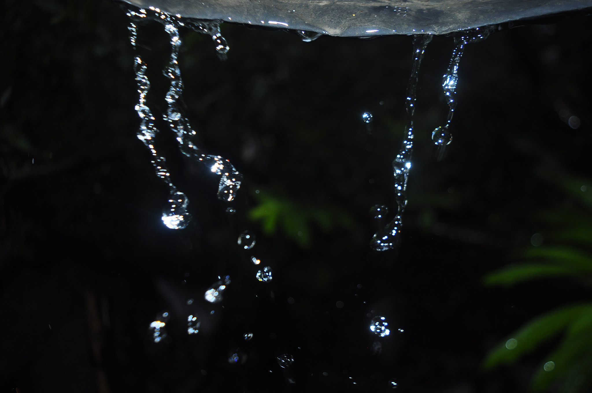 Nikon D5000 sample photo. Water drop photography