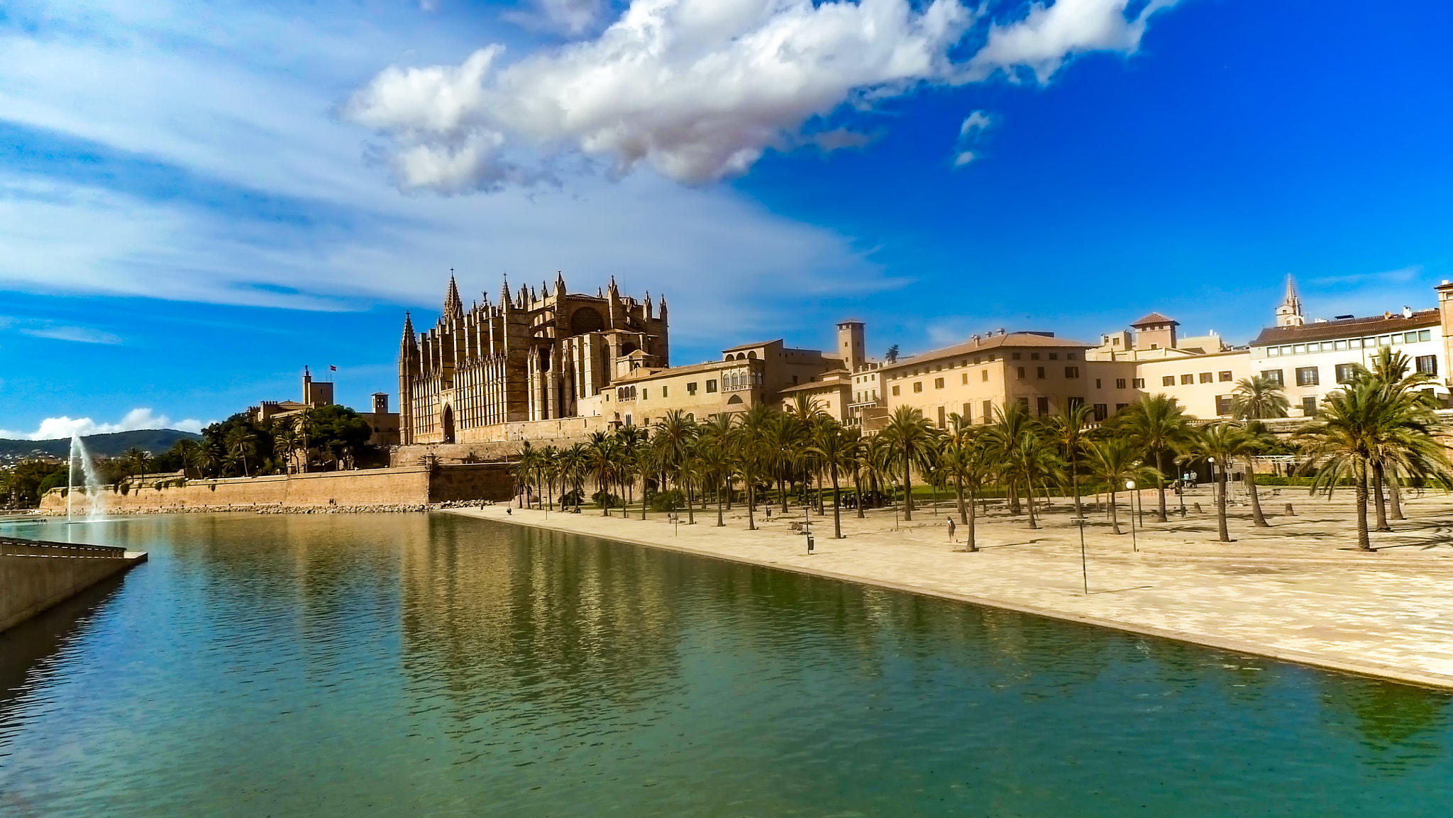 Leica V-Lux 20 sample photo. Palma cathedral le seu photography