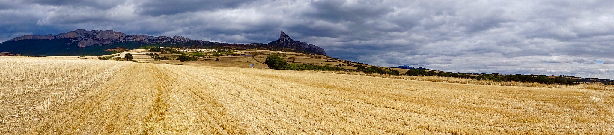 Sony DSC-HX60V sample photo. Campos de meano photography