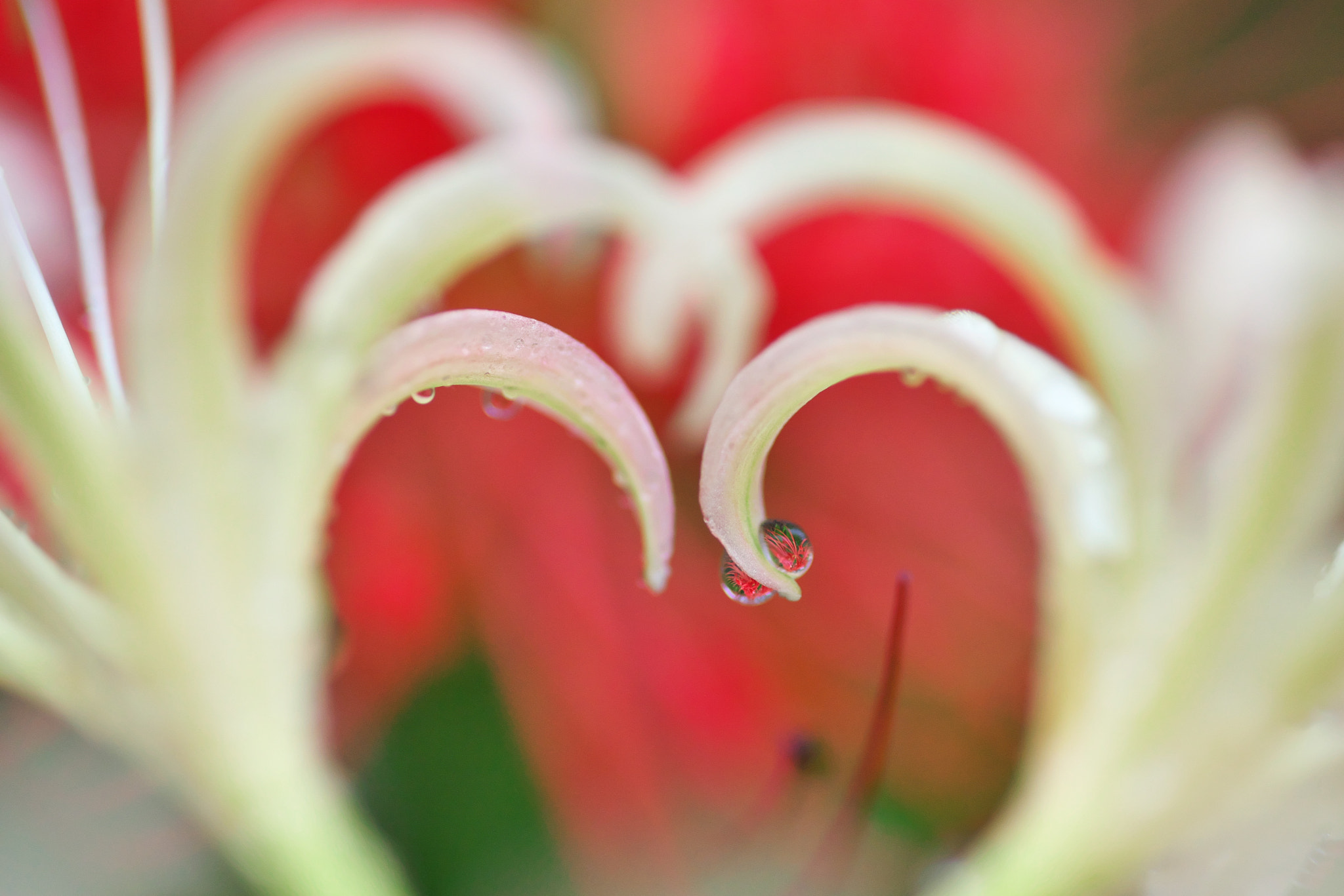90mm F/2.8 D sample photo. Dsc photography
