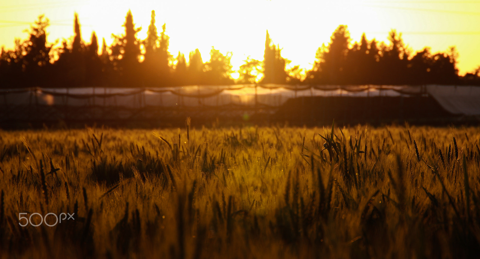 Canon EF 24-105mm F3.5-5.6 IS STM sample photo. Burning sky photography