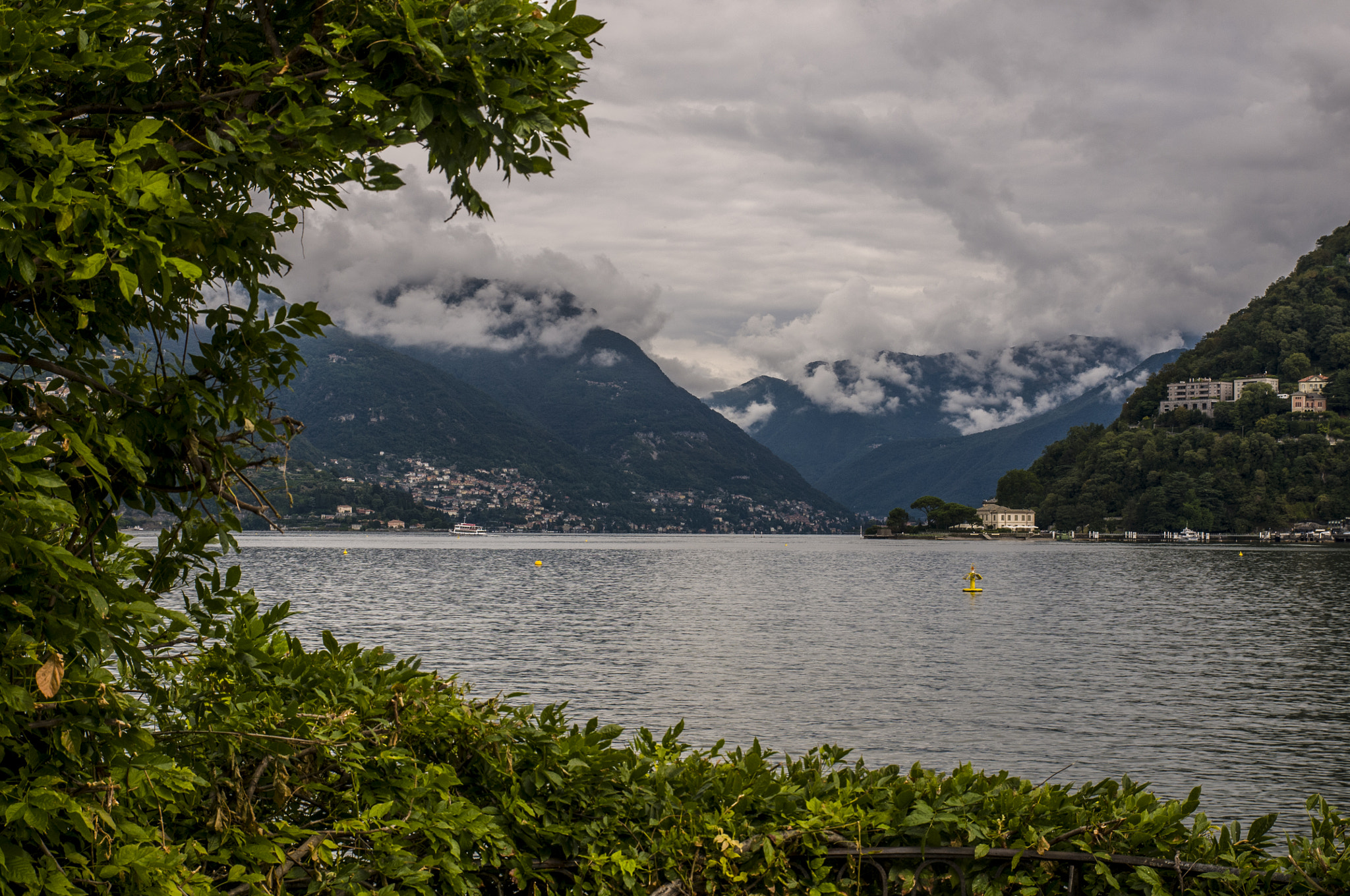 Nikon D300S sample photo. 013.jpg photography