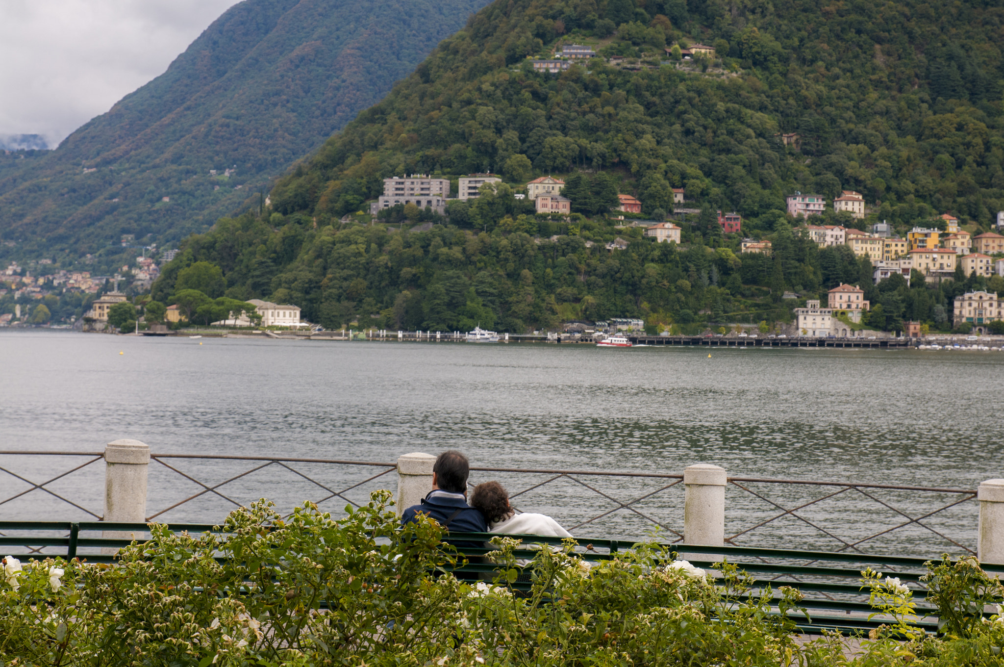 Nikon D300S sample photo. 024.jpg photography