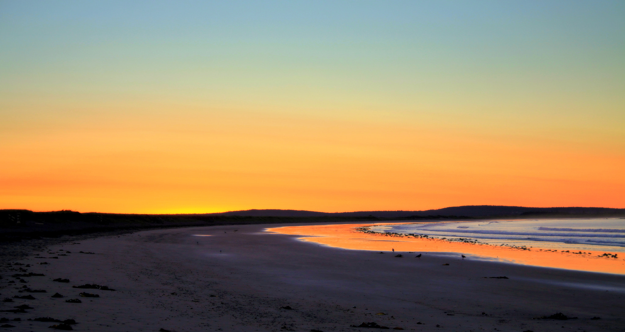 Canon EOS 50D sample photo. Duel of the dawn photography
