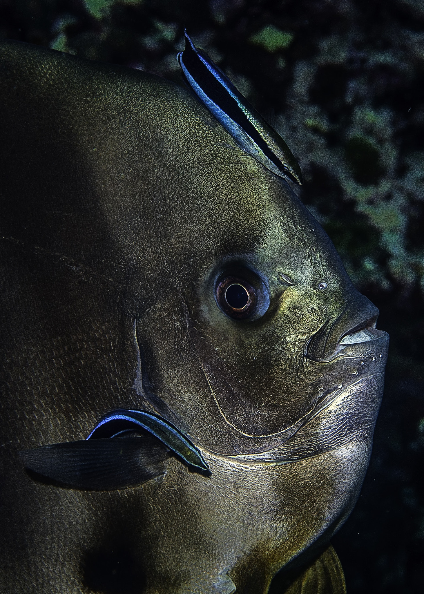 Nikon D200 sample photo. At the cleaning station. photography