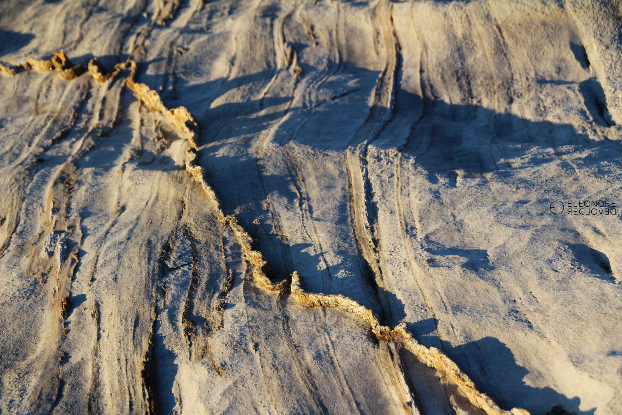 Sigma 18-250mm F3.5-6.3 DC OS HSM sample photo. Wall of nature photography
