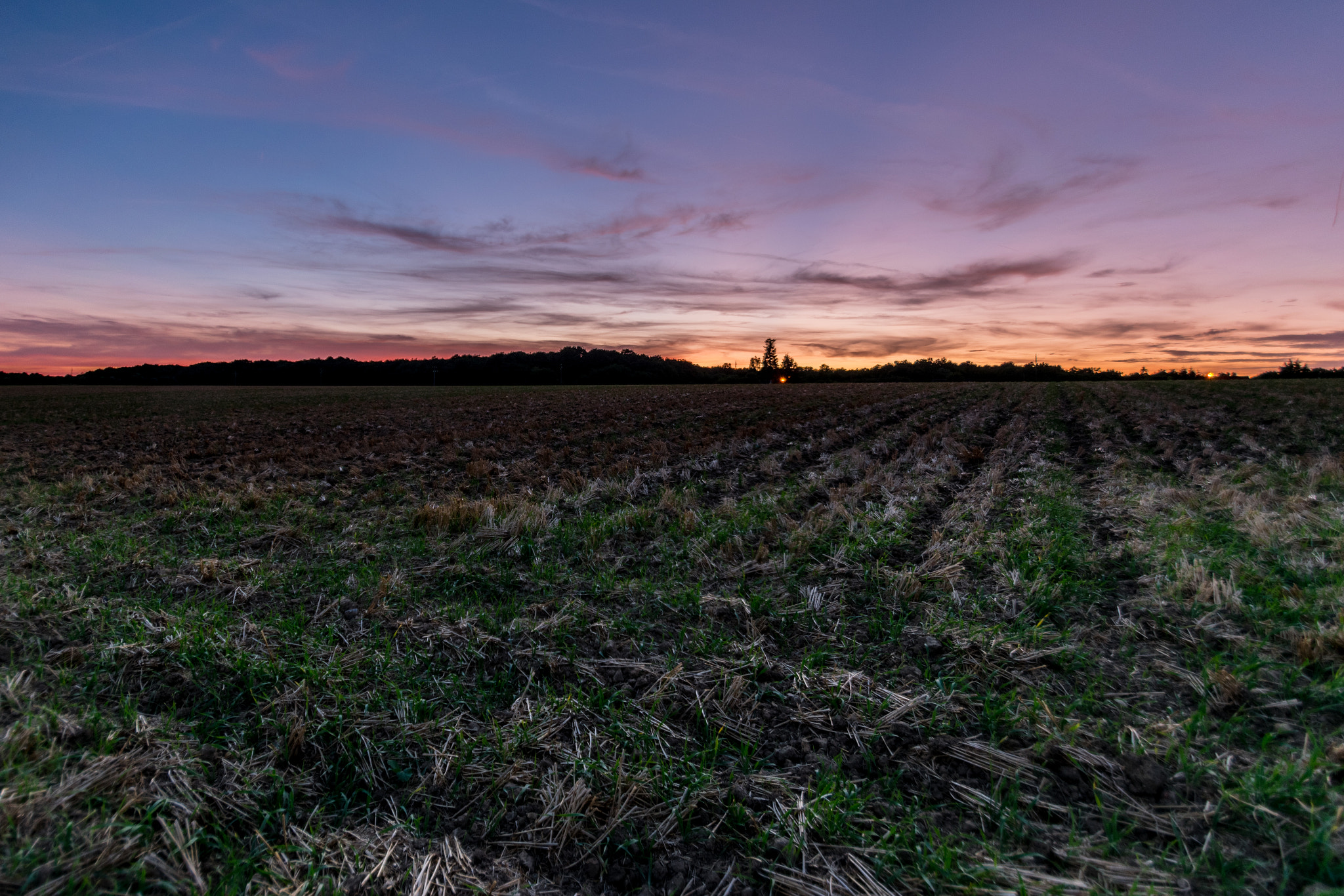 Nikon D5300 + Tamron SP AF 10-24mm F3.5-4.5 Di II LD Aspherical (IF) sample photo. Sunset in the fields photography