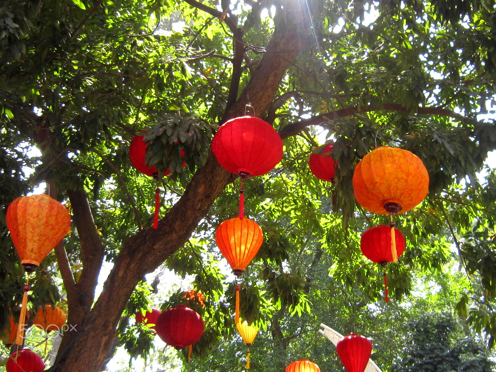 Canon PowerShot SD3500 IS (IXUS 210 / IXY 10S) sample photo. Lanterns for tet festival photography