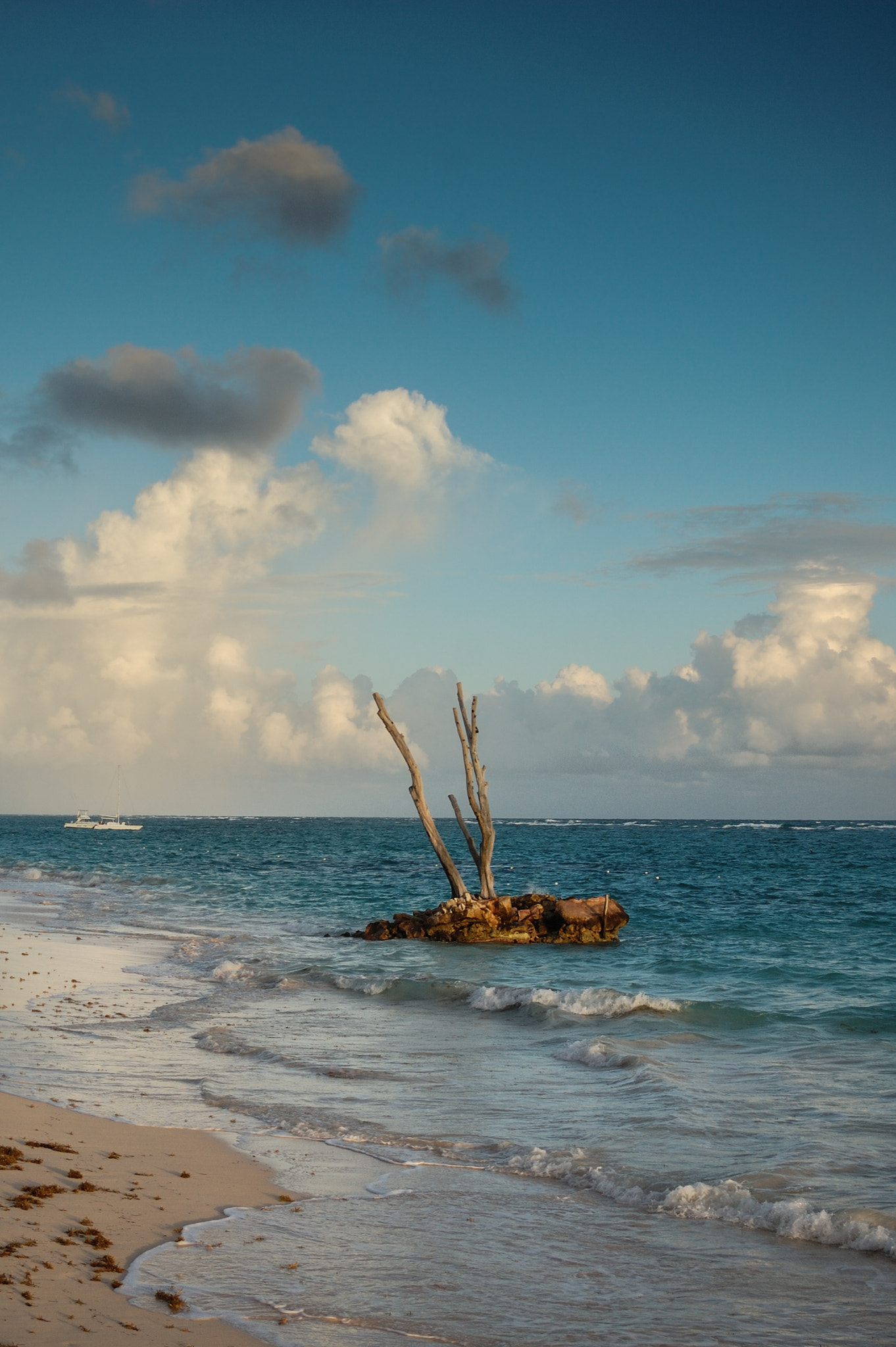 AF Zoom-Nikkor 35-80mm f/4-5.6D N sample photo. The blue photography