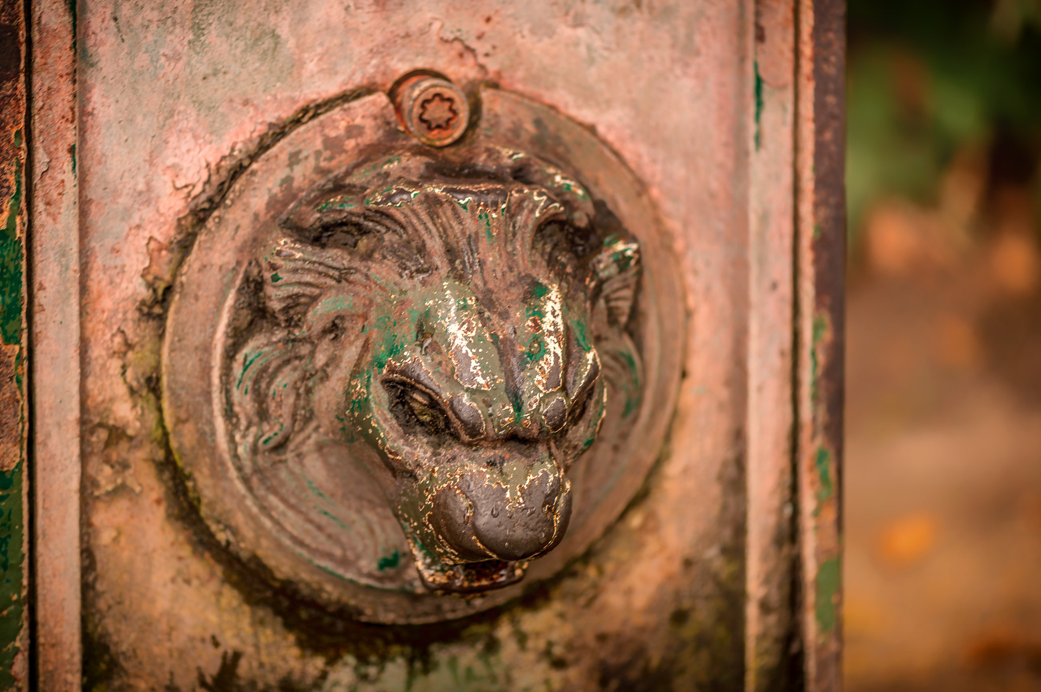 Nikon D4S sample photo. Park details photography