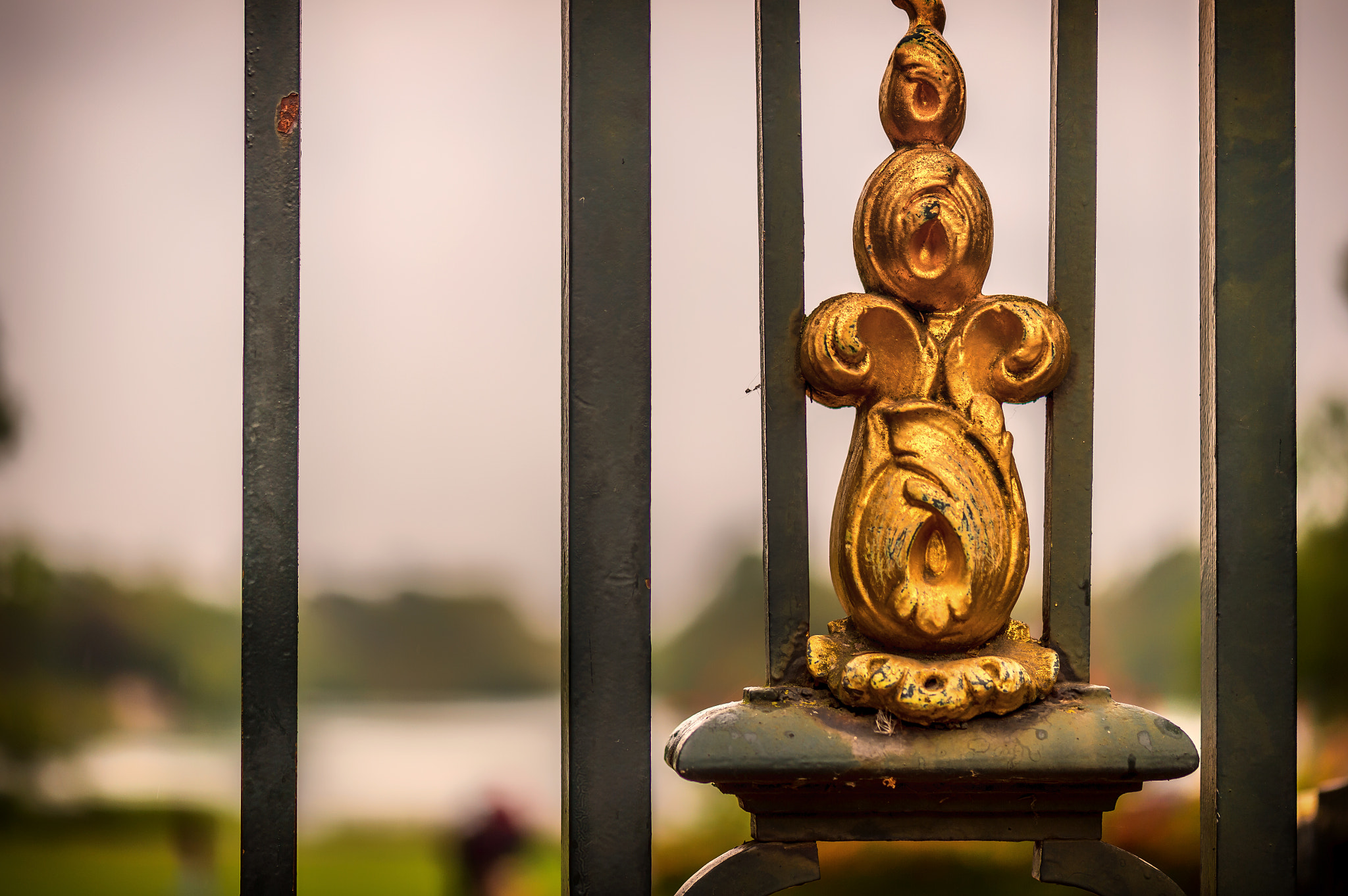 Nikon D4S sample photo. Park details photography