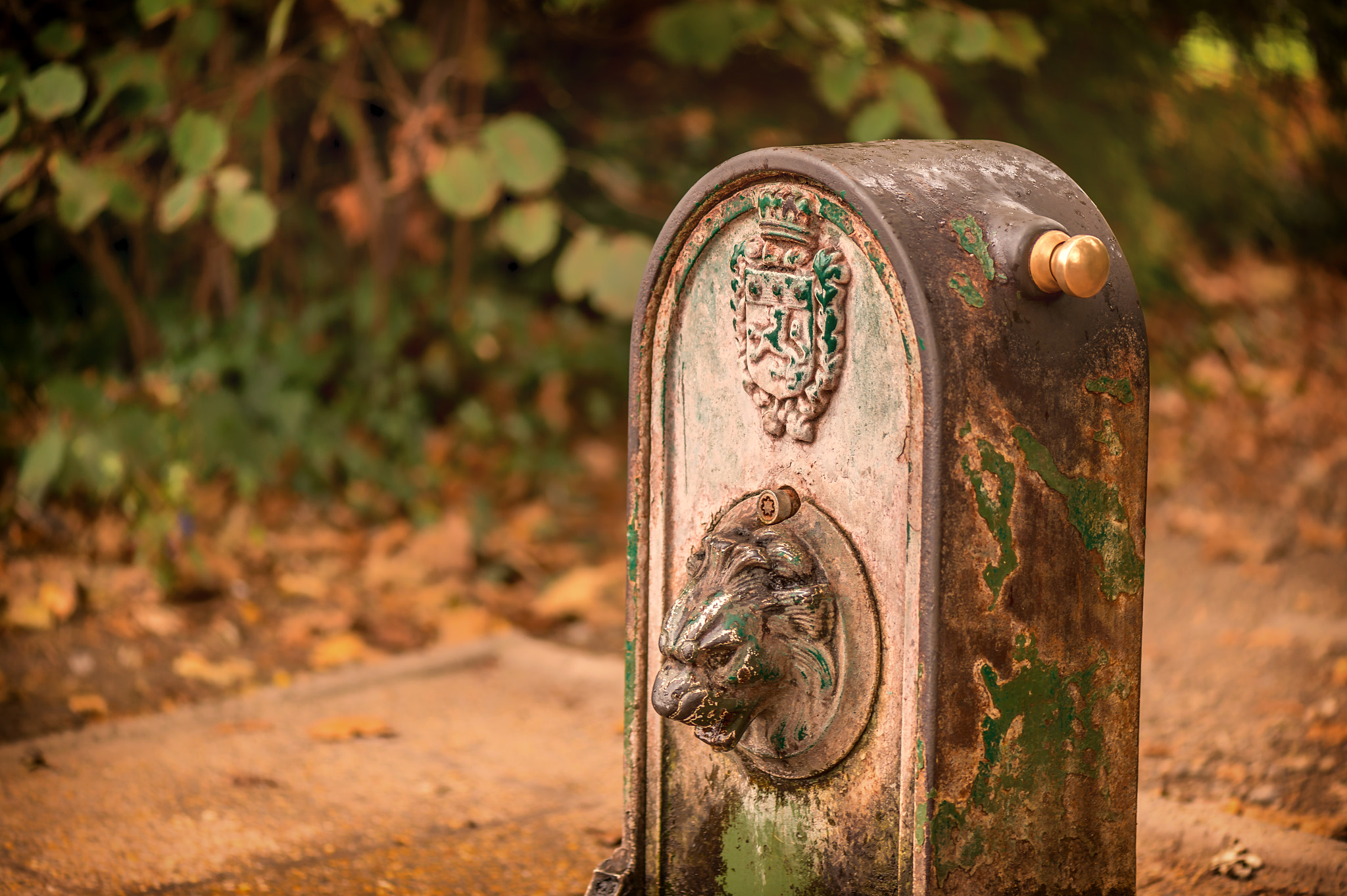 Nikon D4S sample photo. Park details photography
