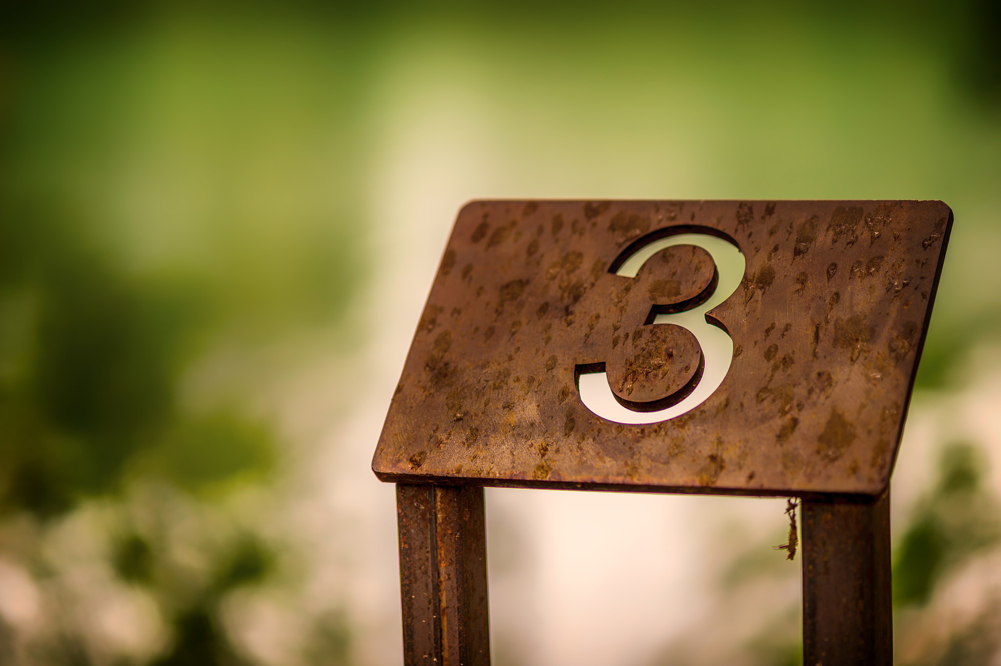 Nikon D4S sample photo. Park details photography