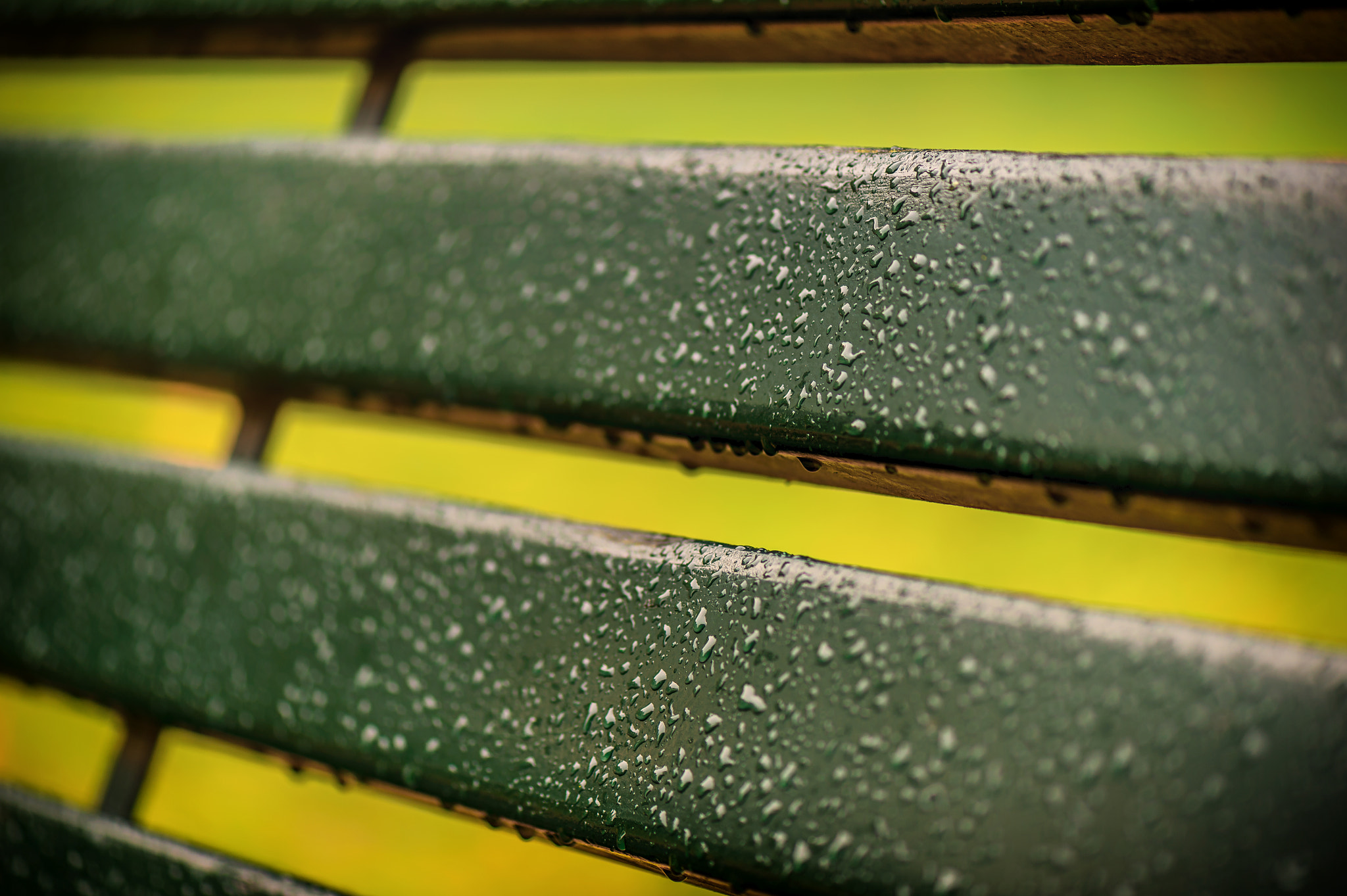 Nikon D4S sample photo. Park details photography