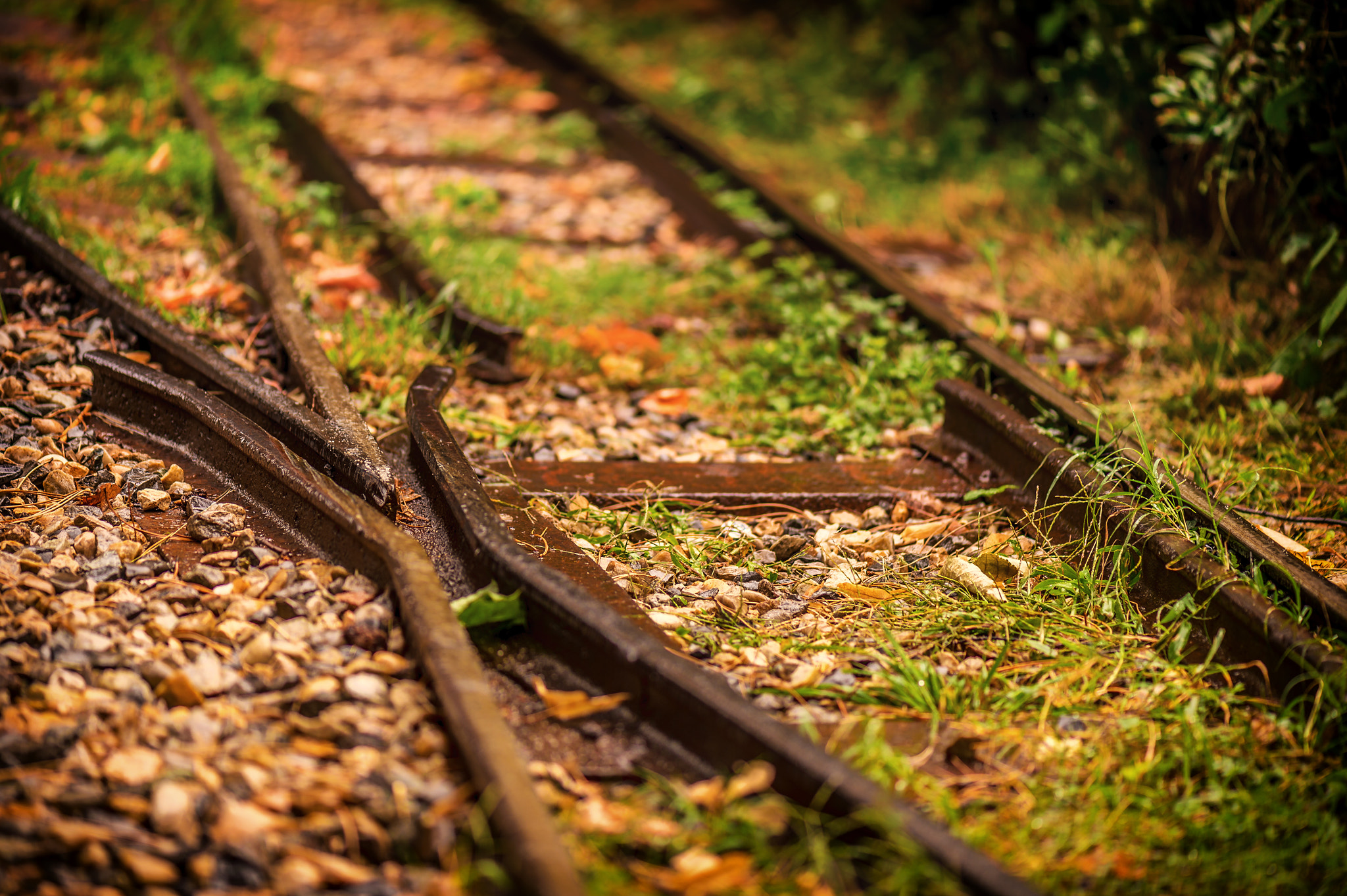 Nikon D4S sample photo. Park details photography