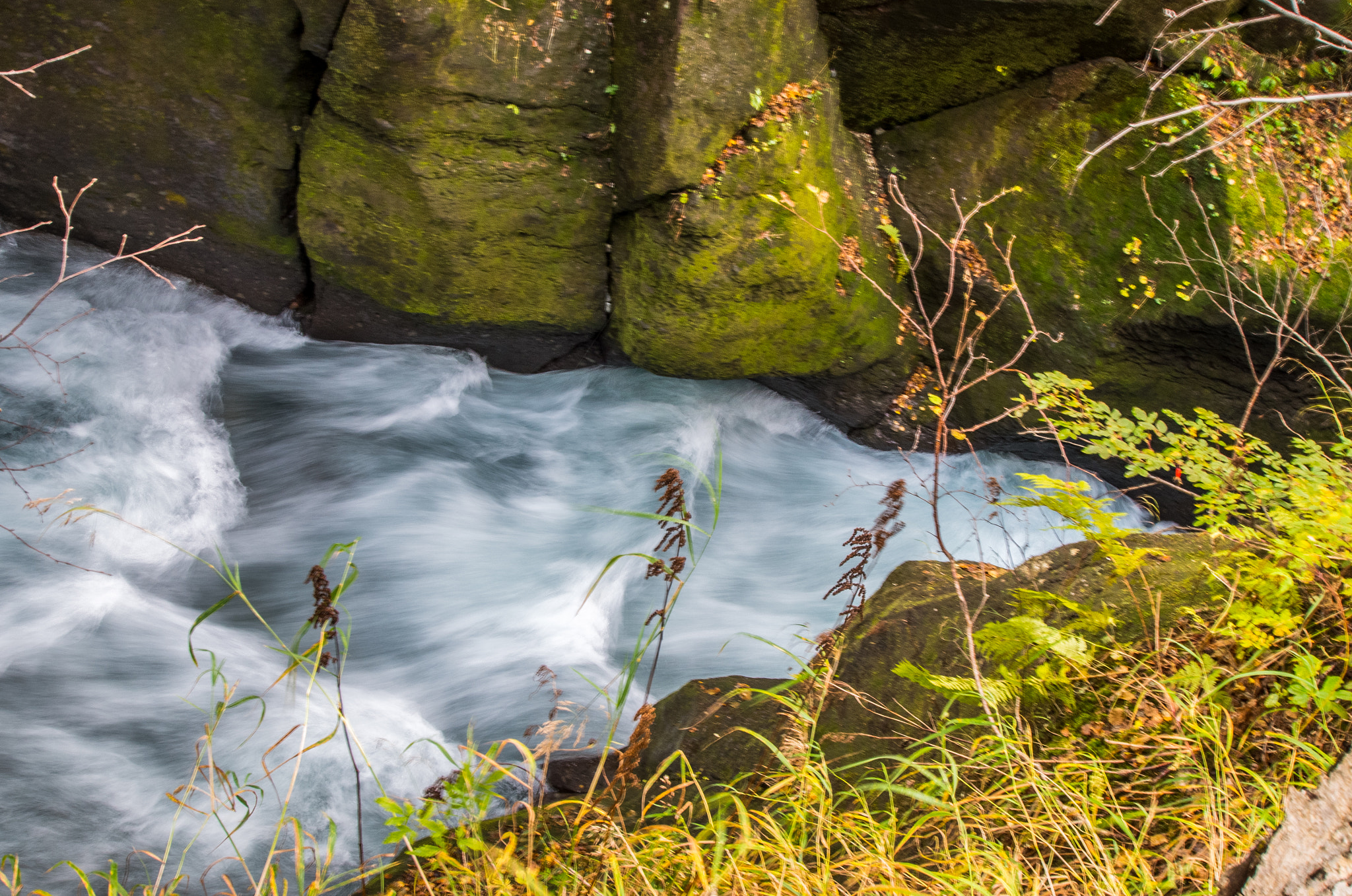 Pentax K-50 sample photo. Flash water photography