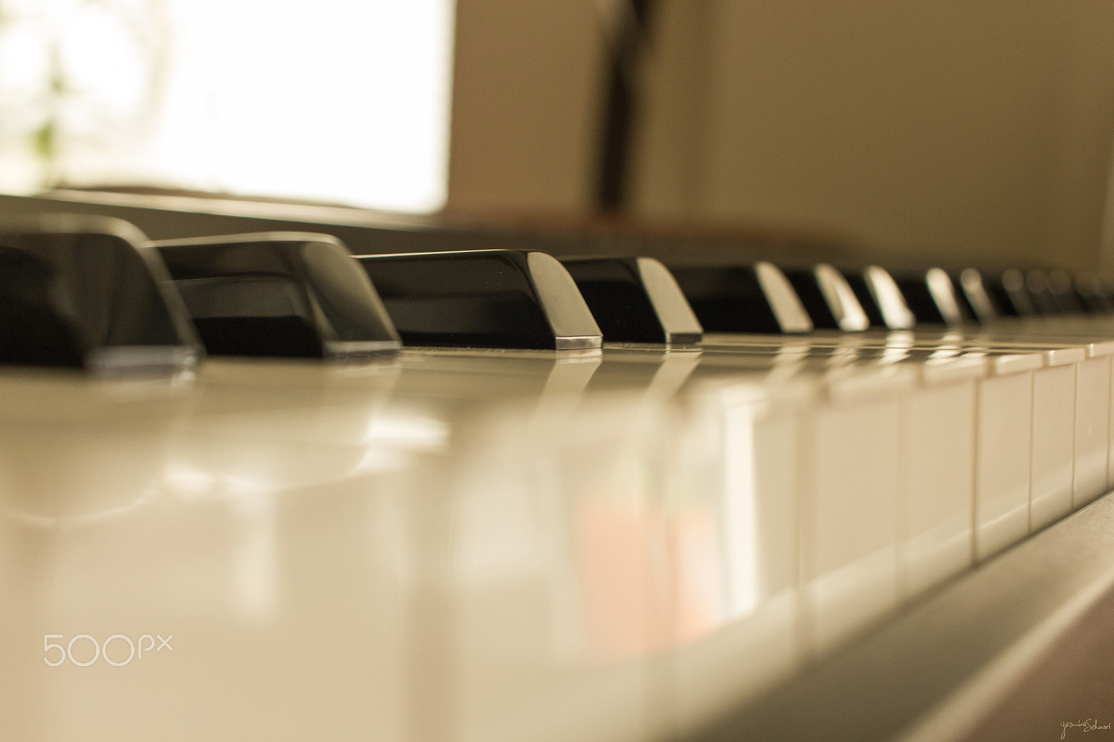 Canon EF-S 24mm F2.8 STM sample photo. Play me a melody photography
