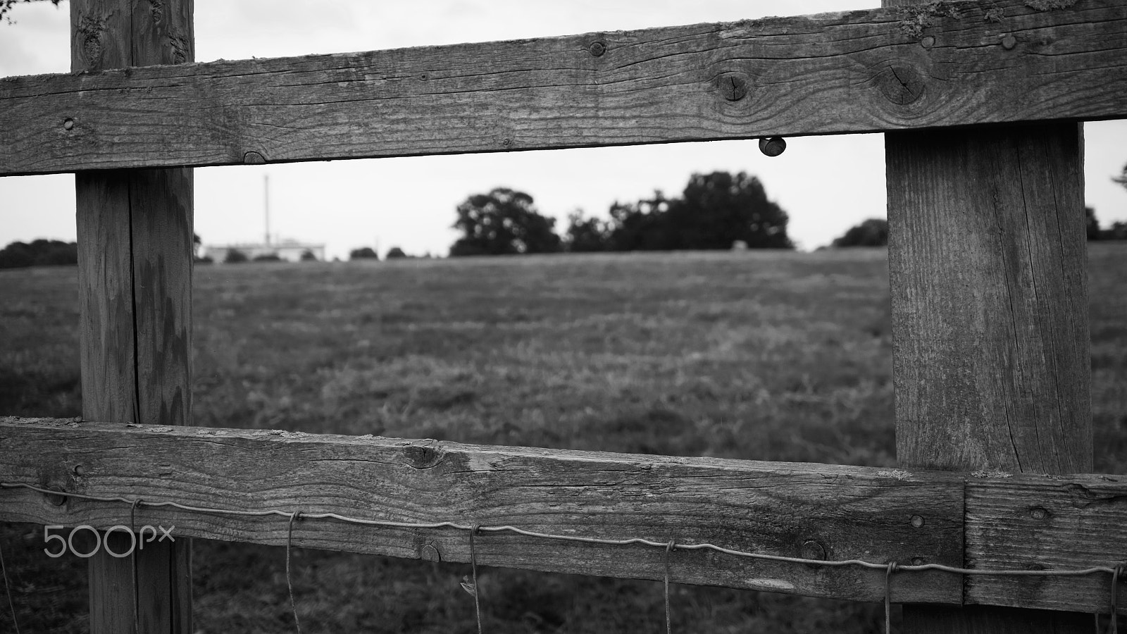 Canon EF-M 28mm F3.5 Macro IS STM sample photo. Wooden fence with snail photography