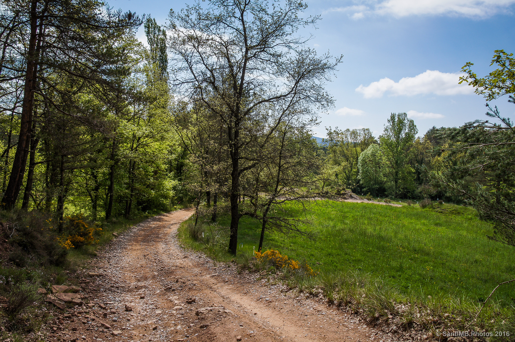 Sony Alpha DSLR-A580 sample photo. Cerca de la riera photography