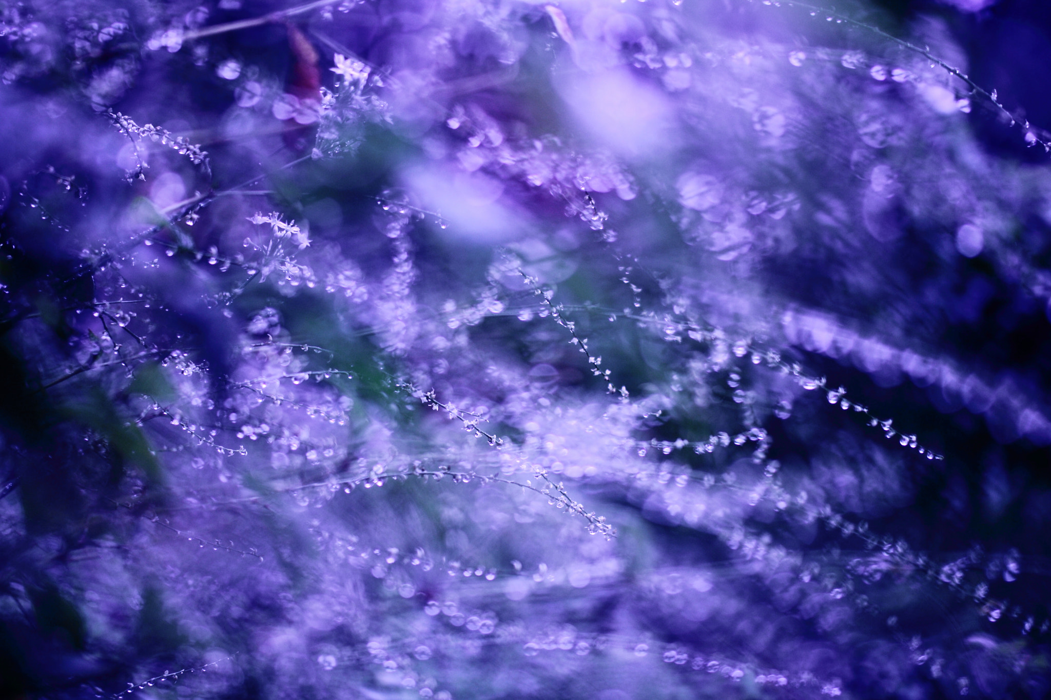 Tamron SP AF 60mm F2 Di II LD IF Macro sample photo. Stormy night photography